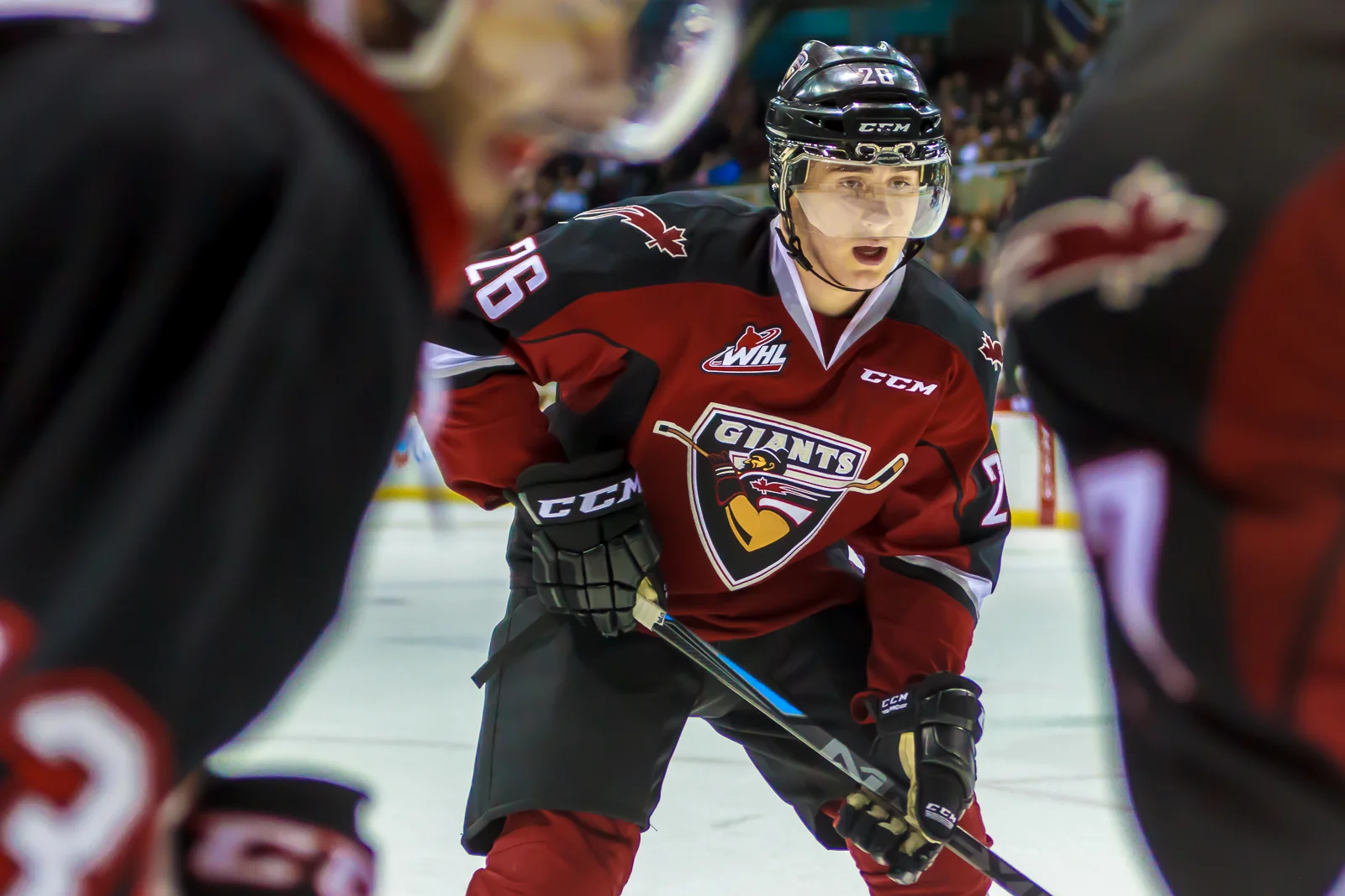 Giants pounce on the Cougars before the 2016 Memorial Cup vote