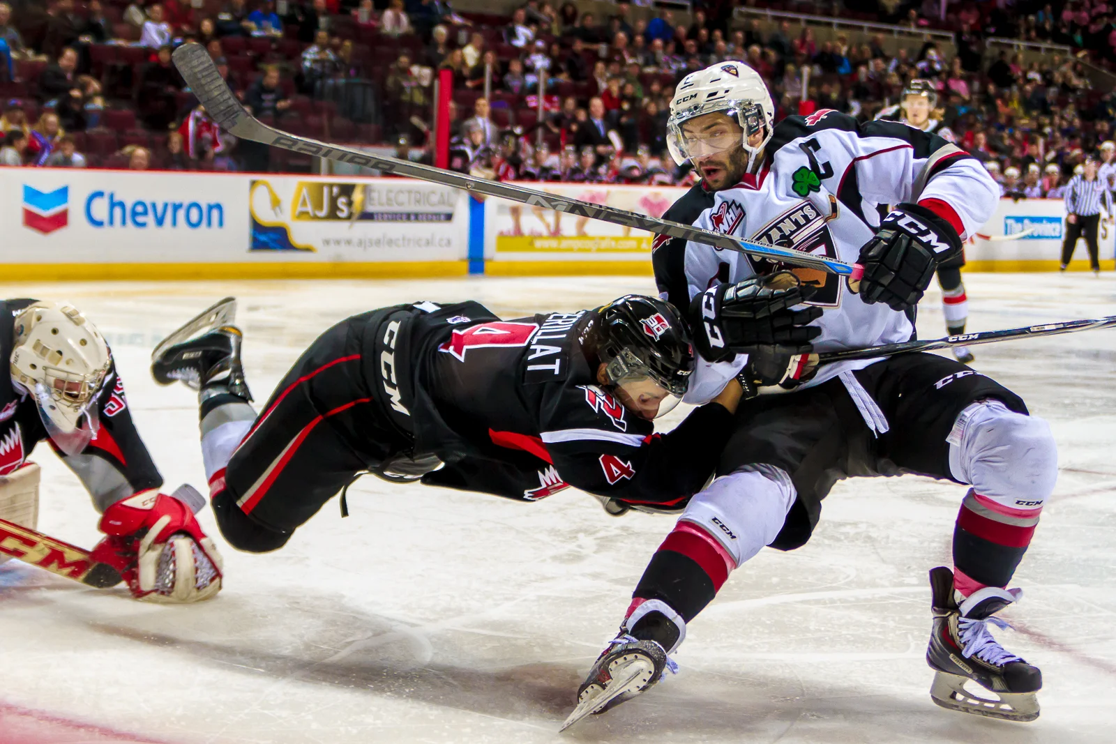 Giant Tifo on Hooky Day in Cascadia