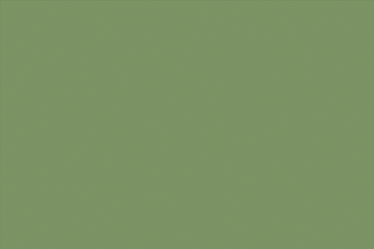 Sisi_Recht_Nigeria_BirdsGif.gif