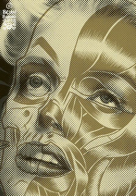 8473022127_9192c66da2_z__53996.jpg