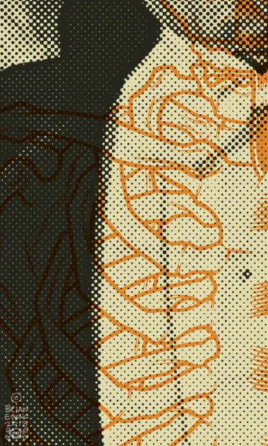 Drac.detail2.jpg