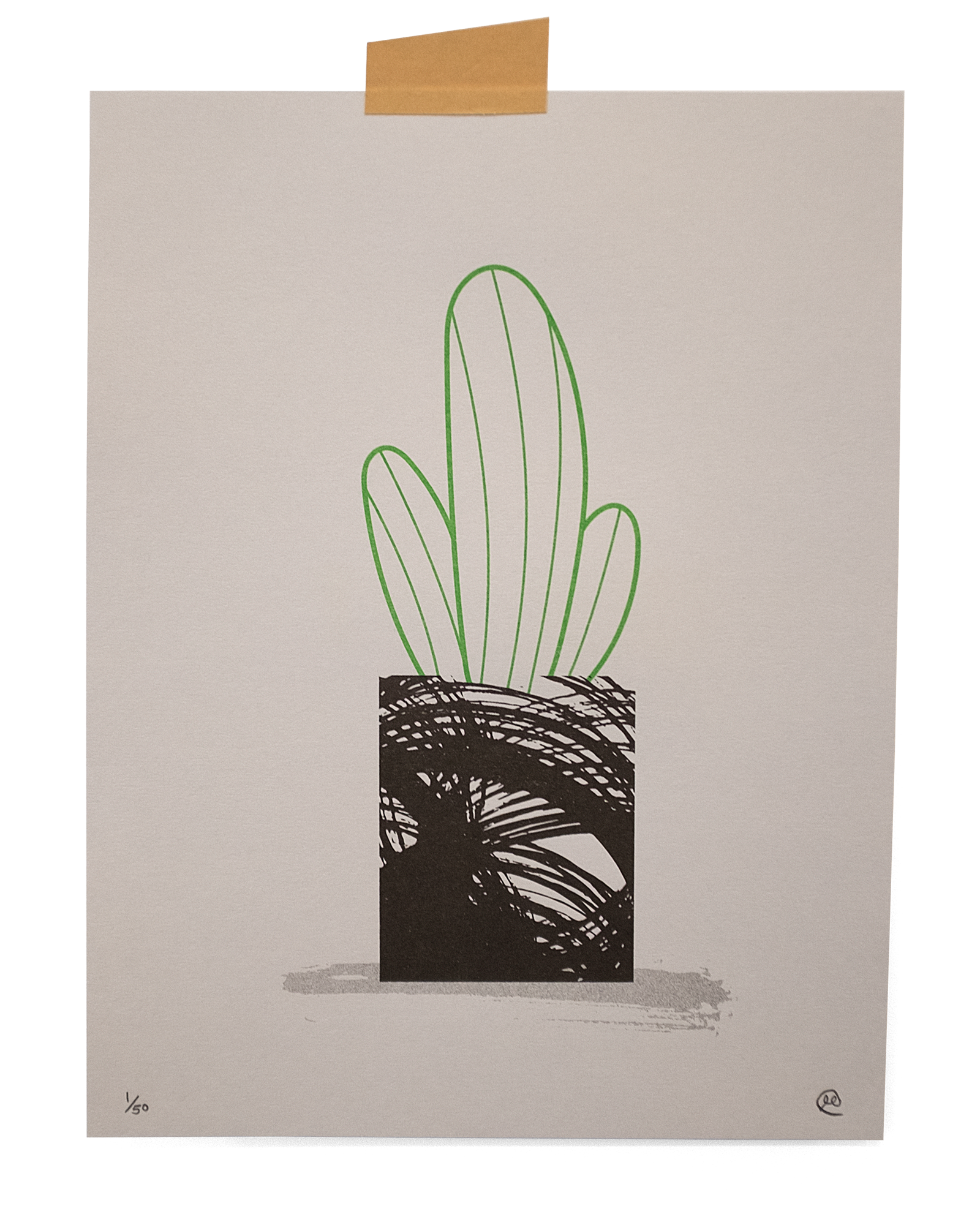 plants-03.png