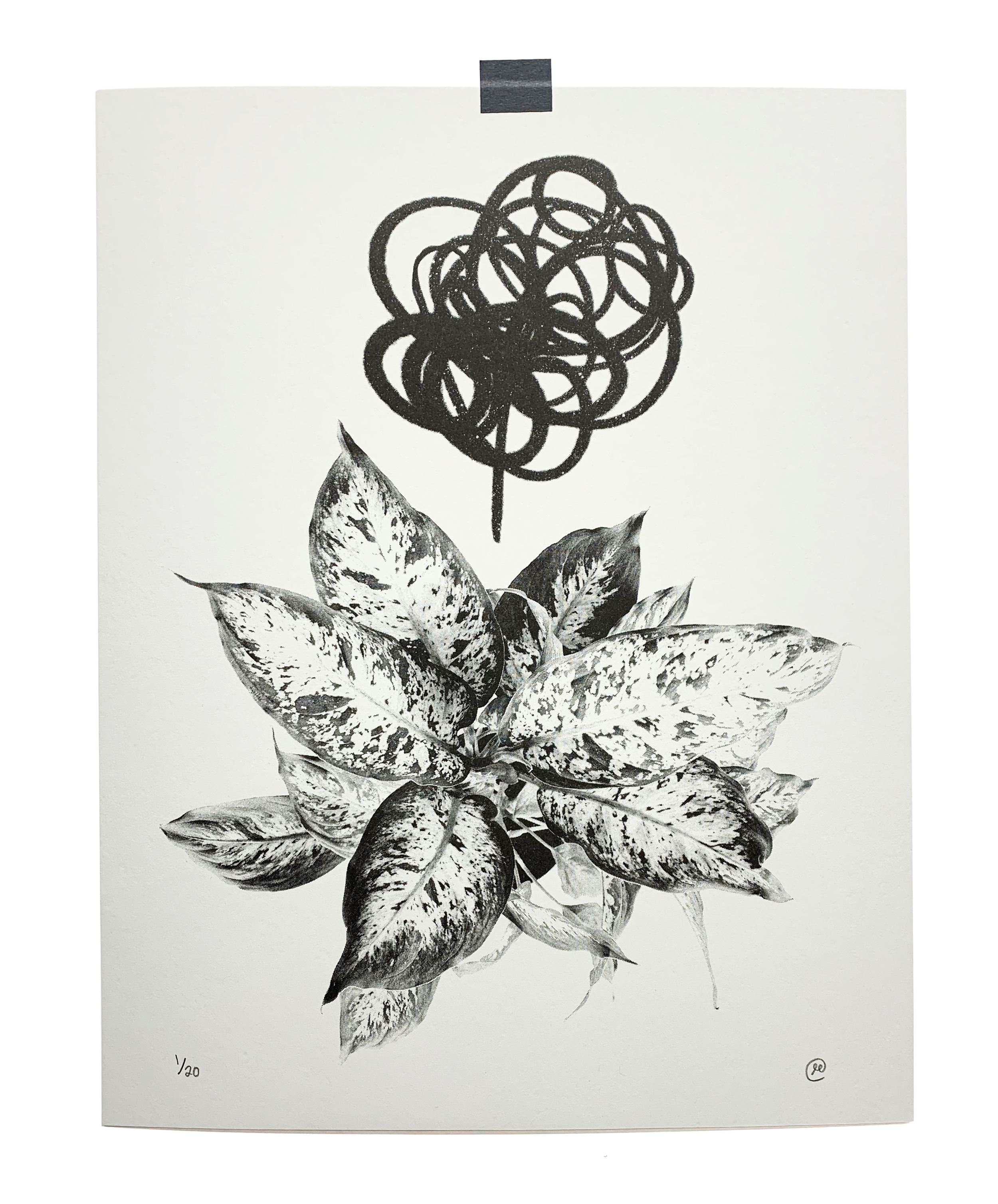 Plant-Life-02.png