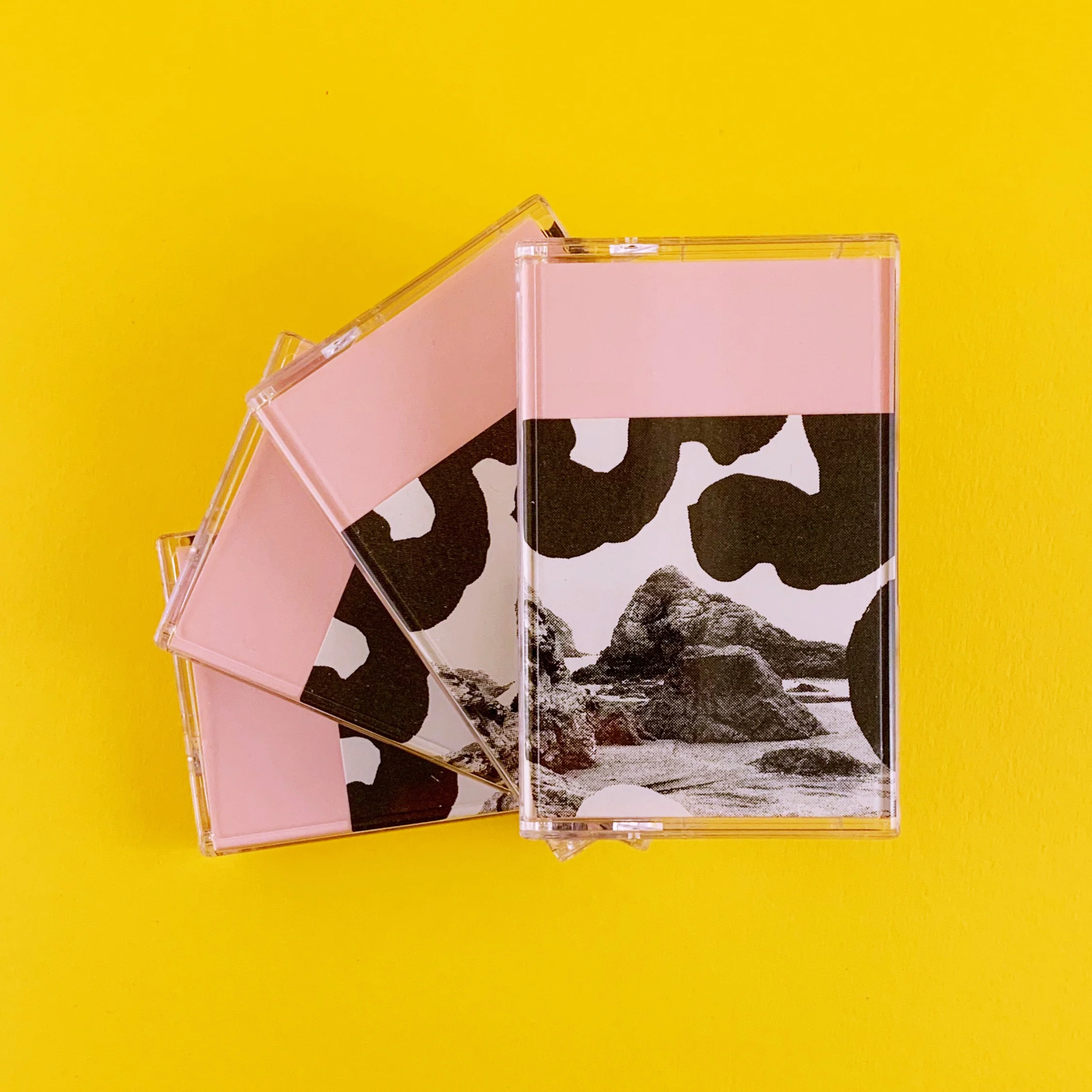 Egress-Cassette-03.jpg