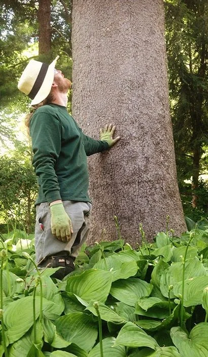 tree.jpg