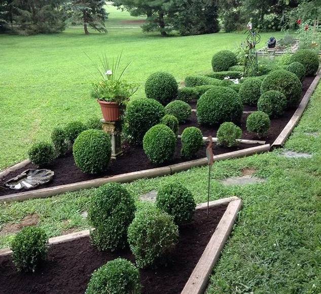 trimmed1.jpg