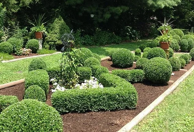 trimmed2.jpg