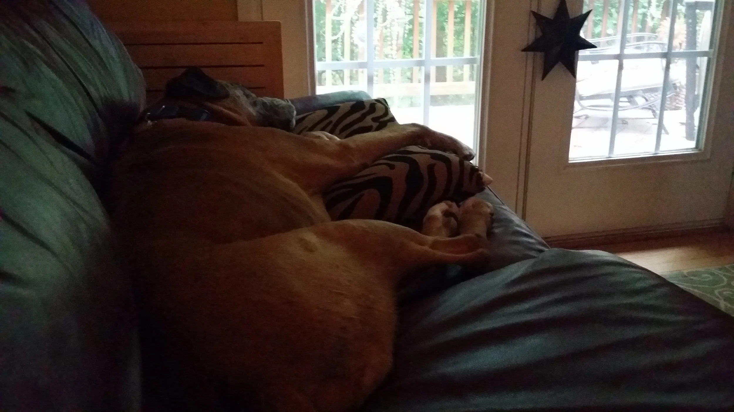 Hard-knock Life