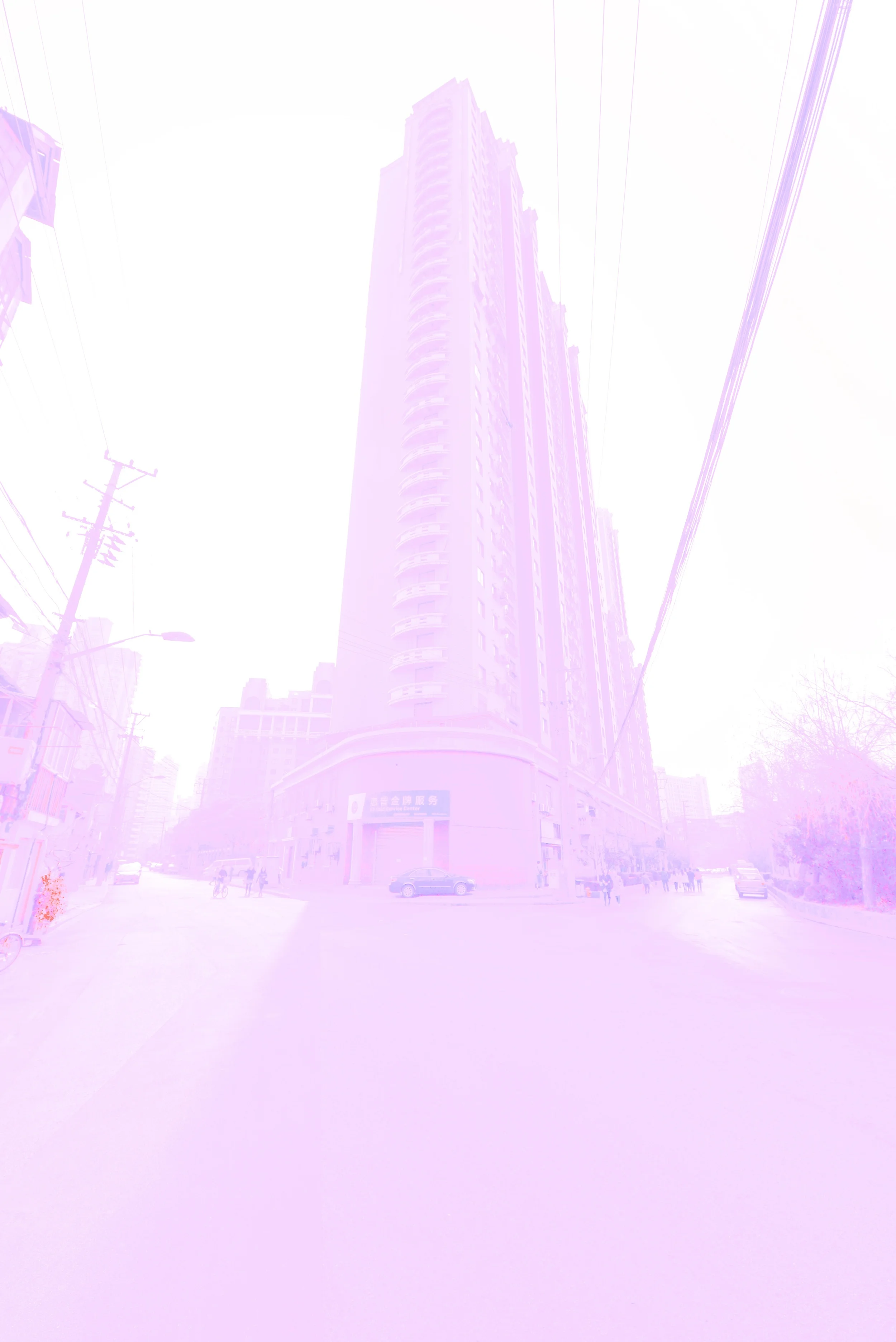 DSC_1529.jpg