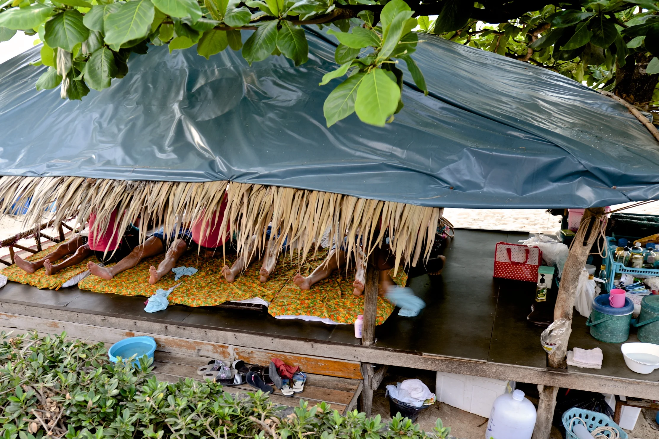 DSC_4205.jpg