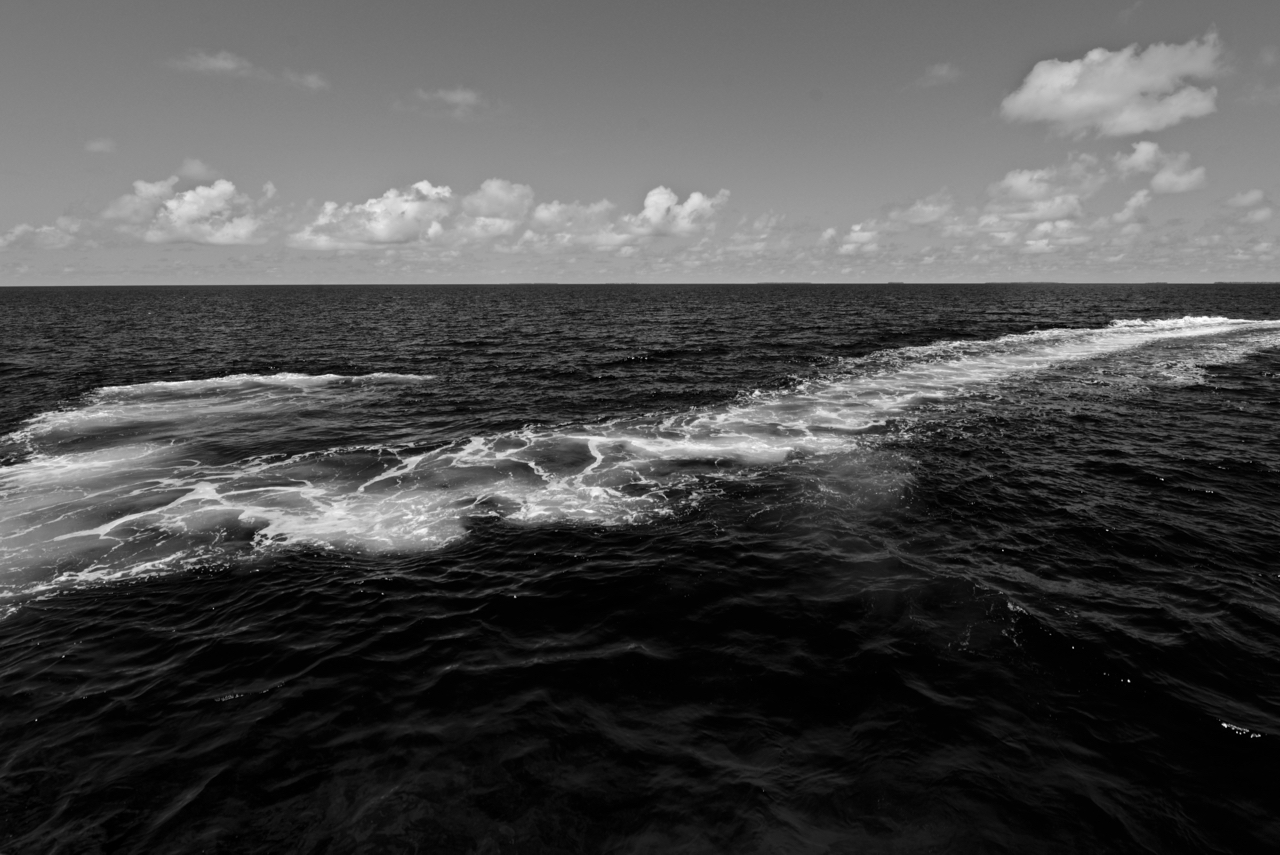 DSC_8404.jpg