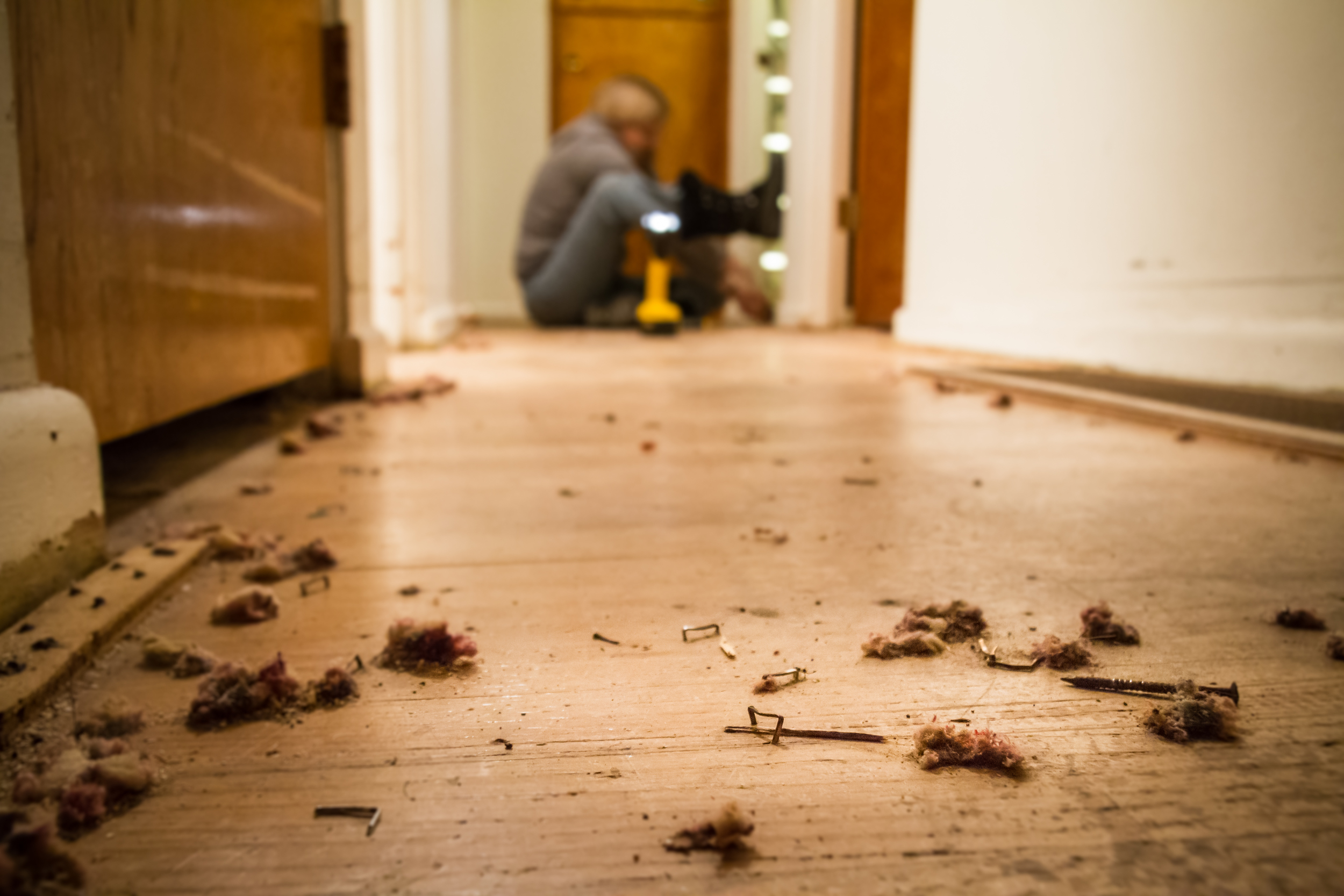 How To Remove Carpet Tacks And Staples From Hardwood Floors Work