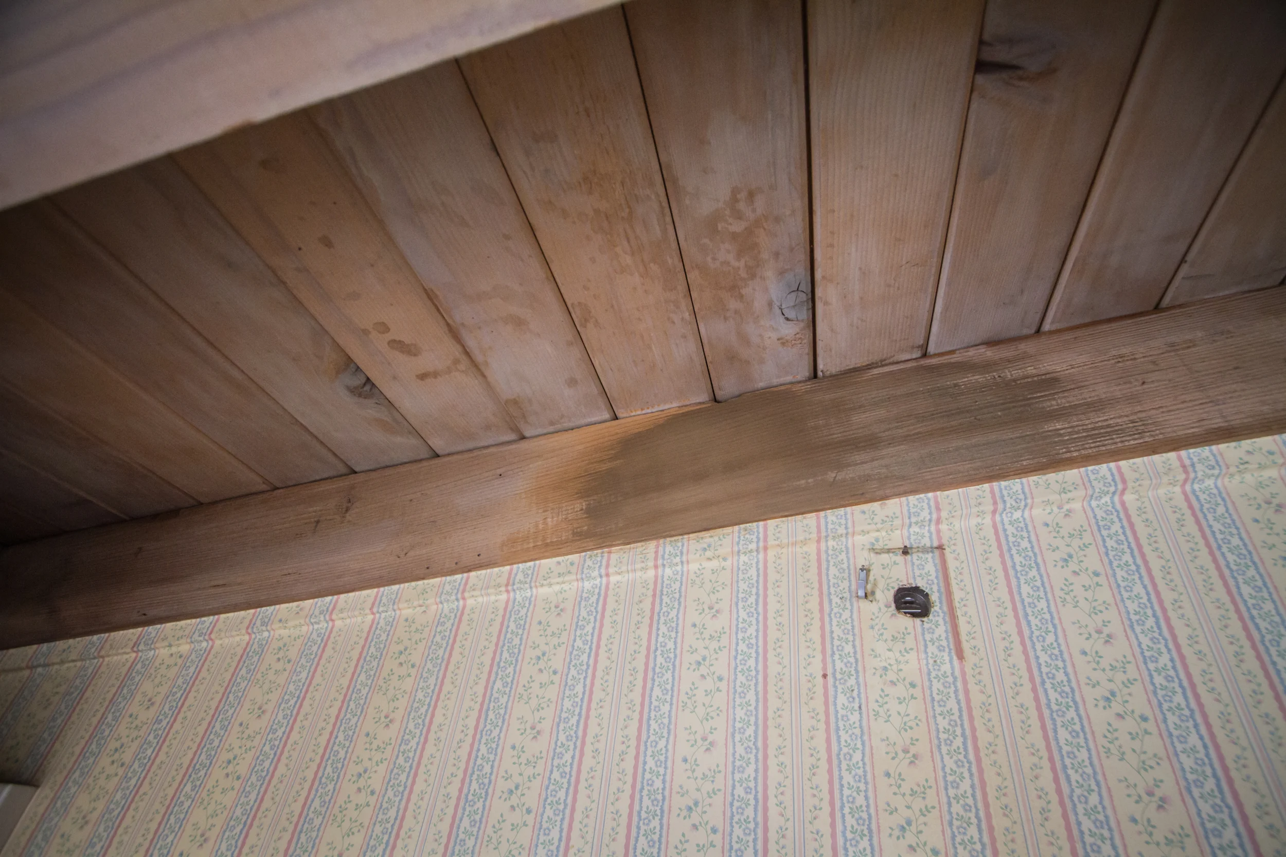 Sanded is on the left, unsanded on the right. Yes, the trim and outlet are wallpapered.