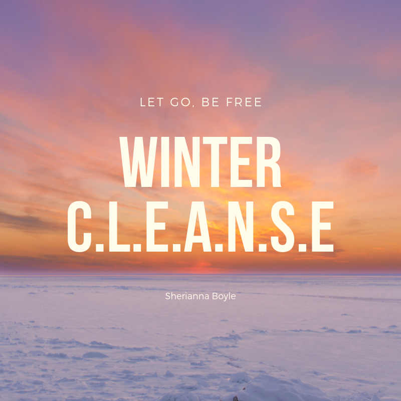 winter c.l.e.a.n.s.e (1).png