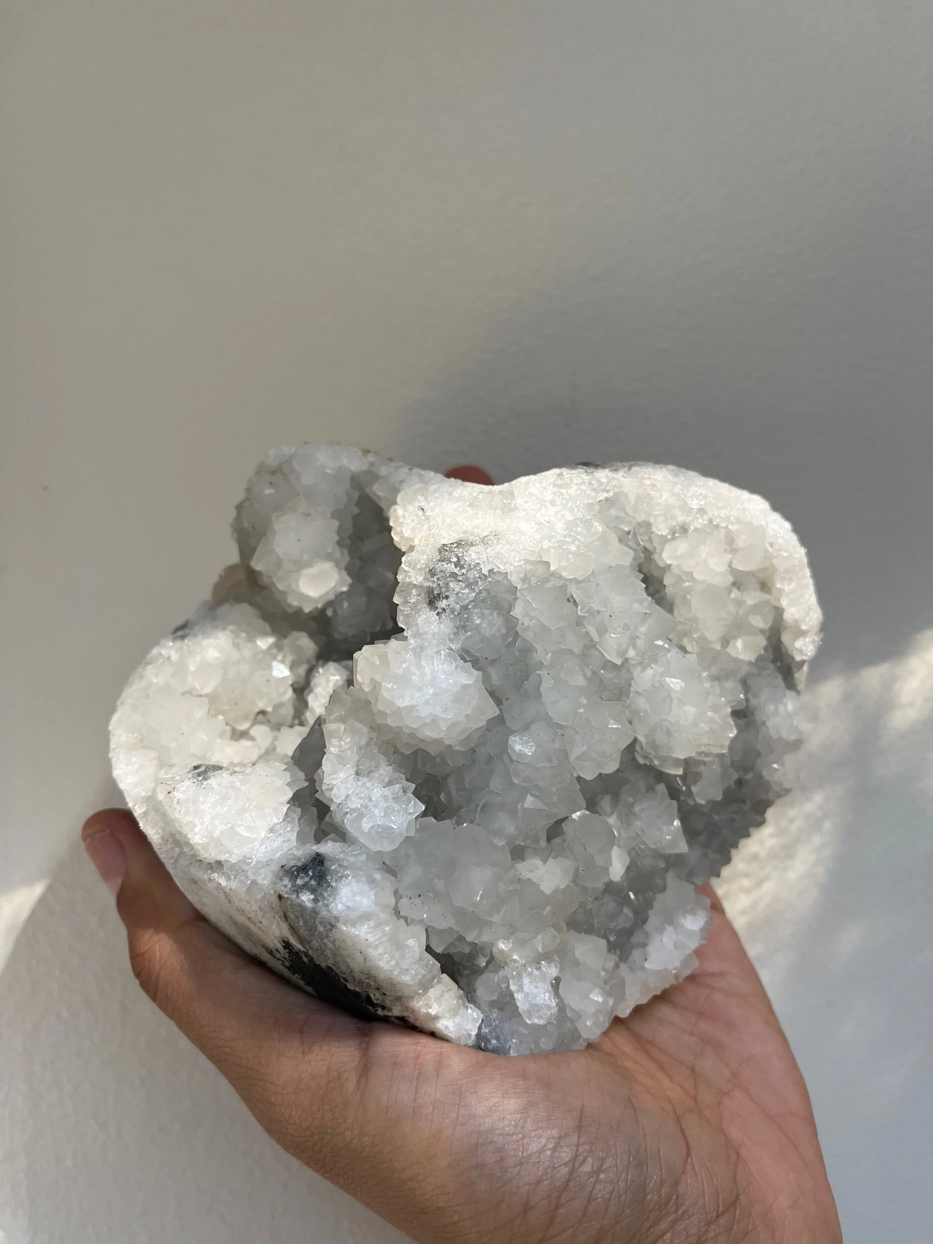 5AF85C69-6BA4-466C-9056-5A3DEE418F83