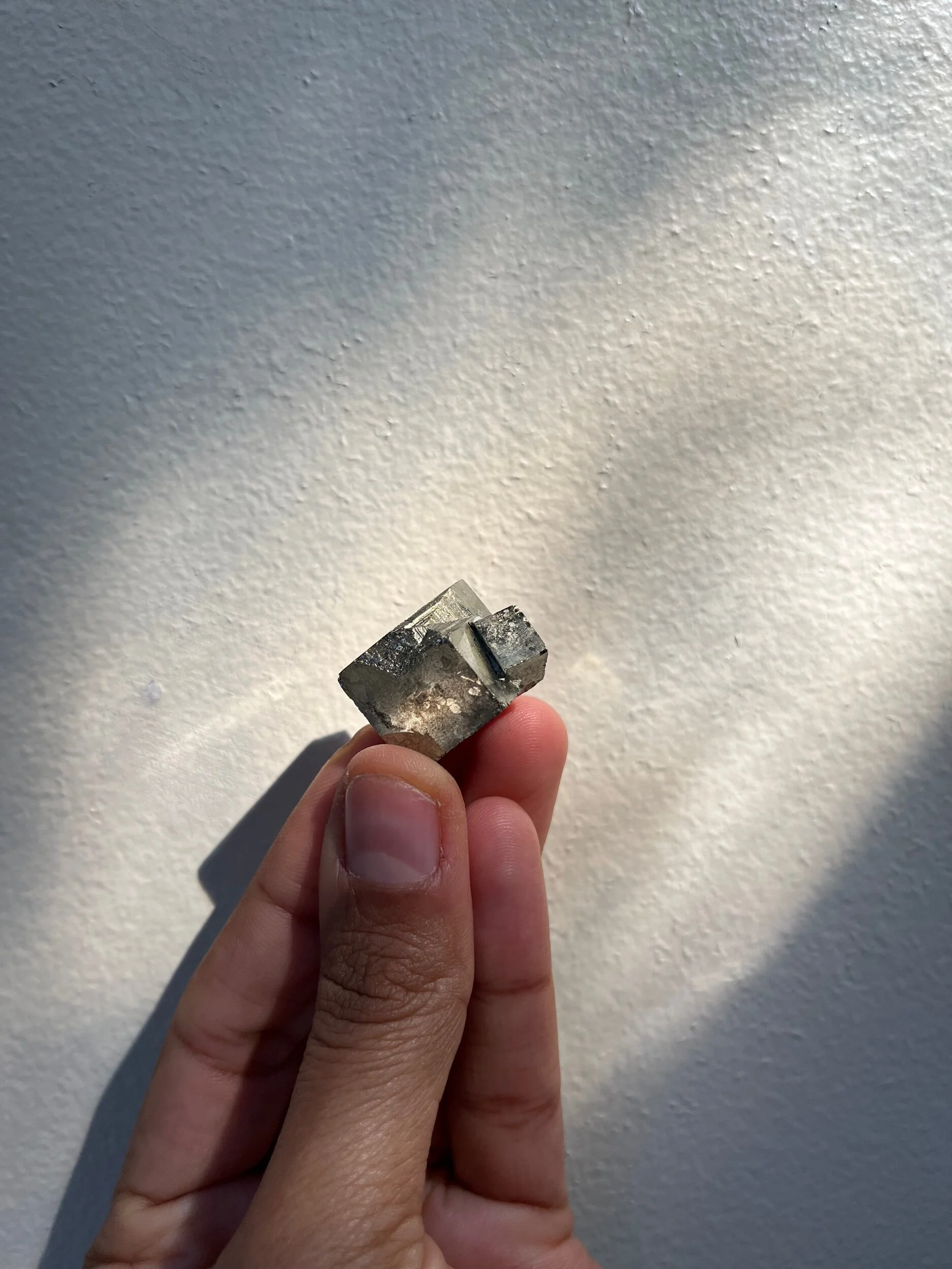 F9AED06B-E89B-4304-A9D7-2E2EA671535C