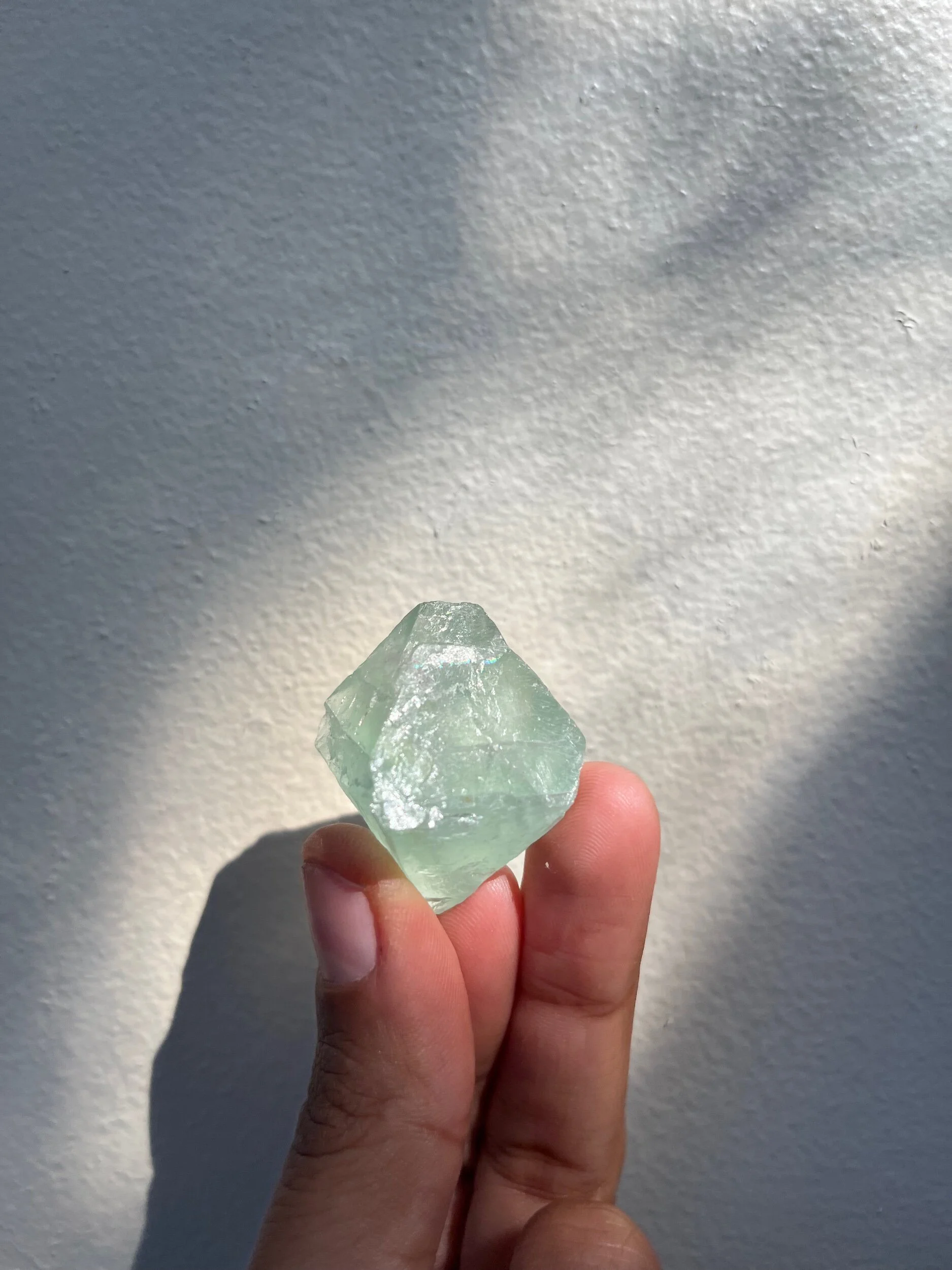 66DA390C-89A5-4AE7-8BC5-037EFF2116ED