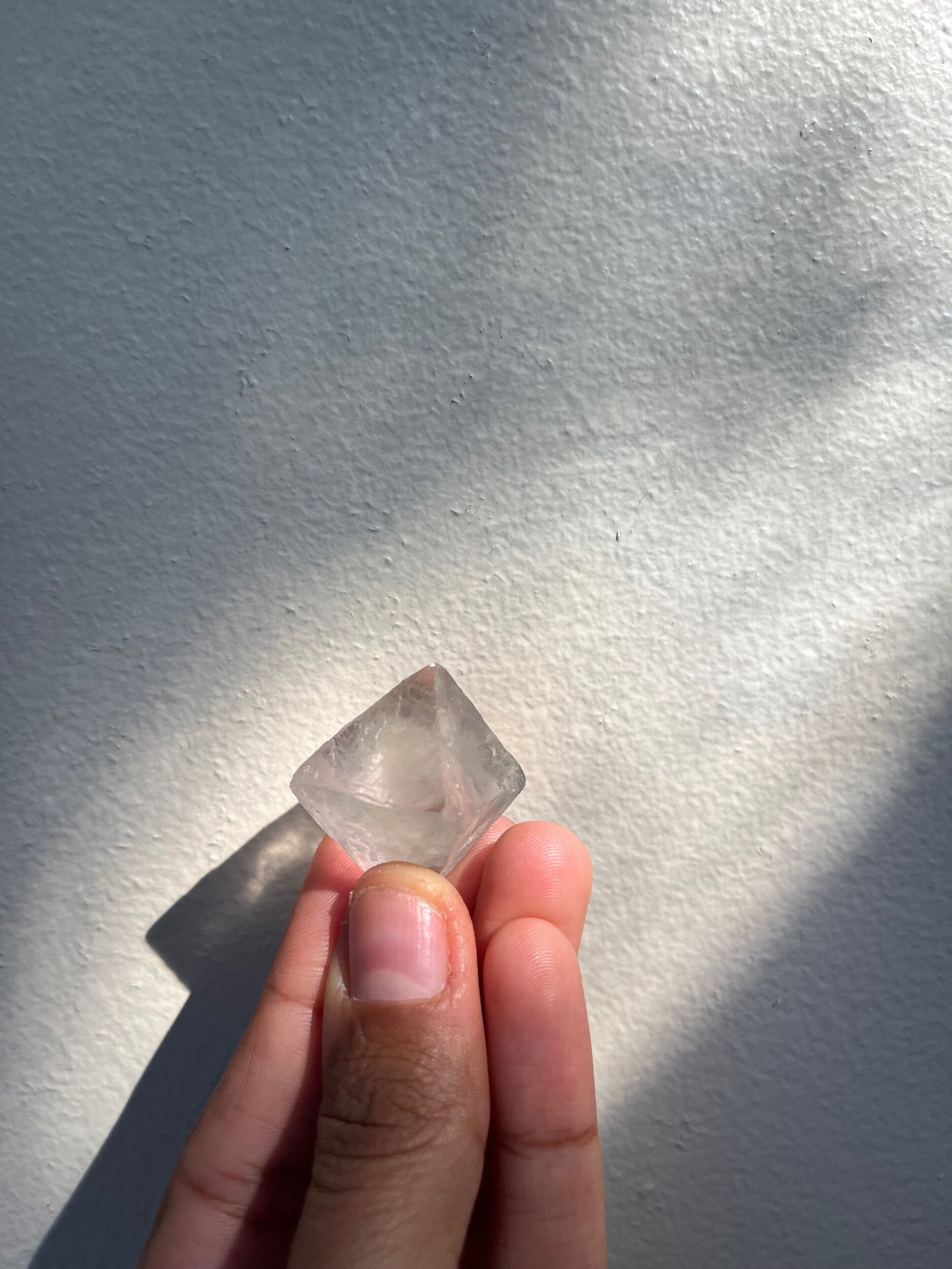 E5B89AFB-2B58-4108-BC6D-2383FDFD97D5