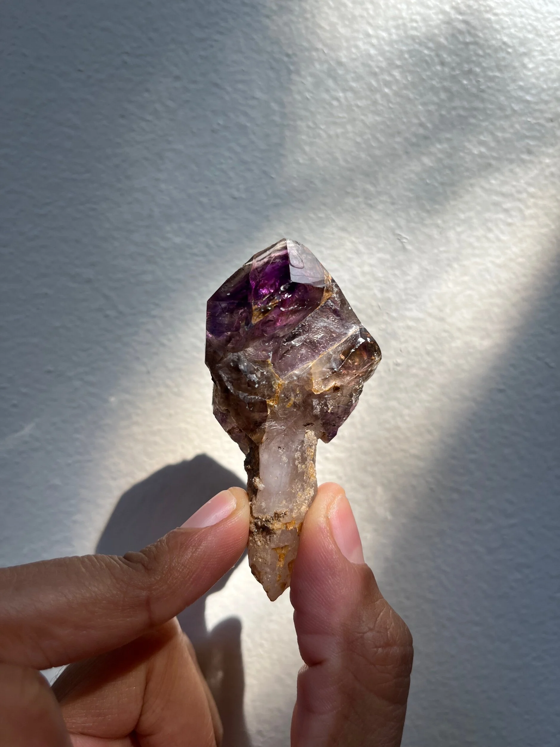 EB655DB8-D82C-46E2-99C5-EB9E7DDE5C48