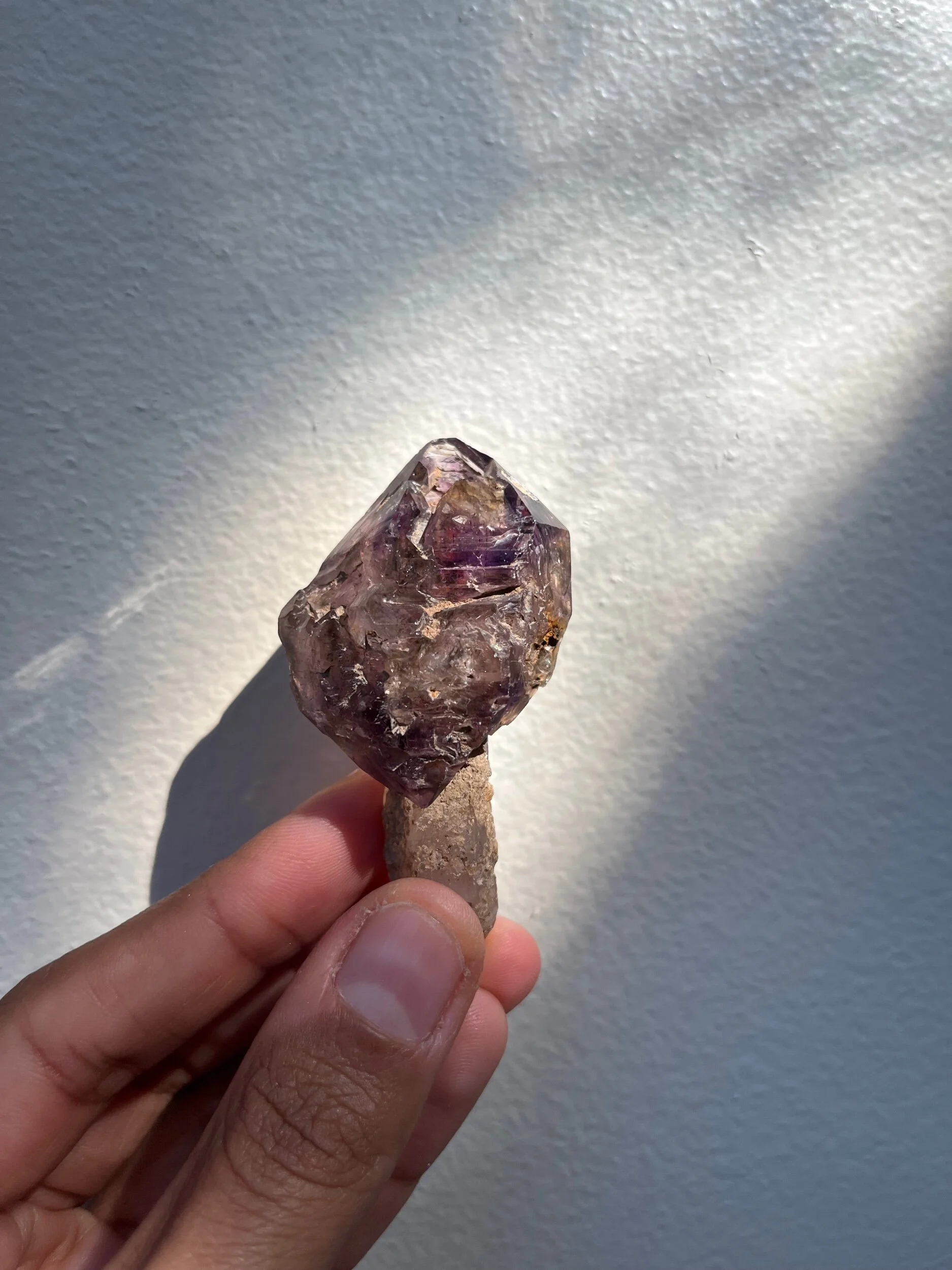 5FC9E7A4-1DC8-4D15-8B72-CB7D5EB0703E