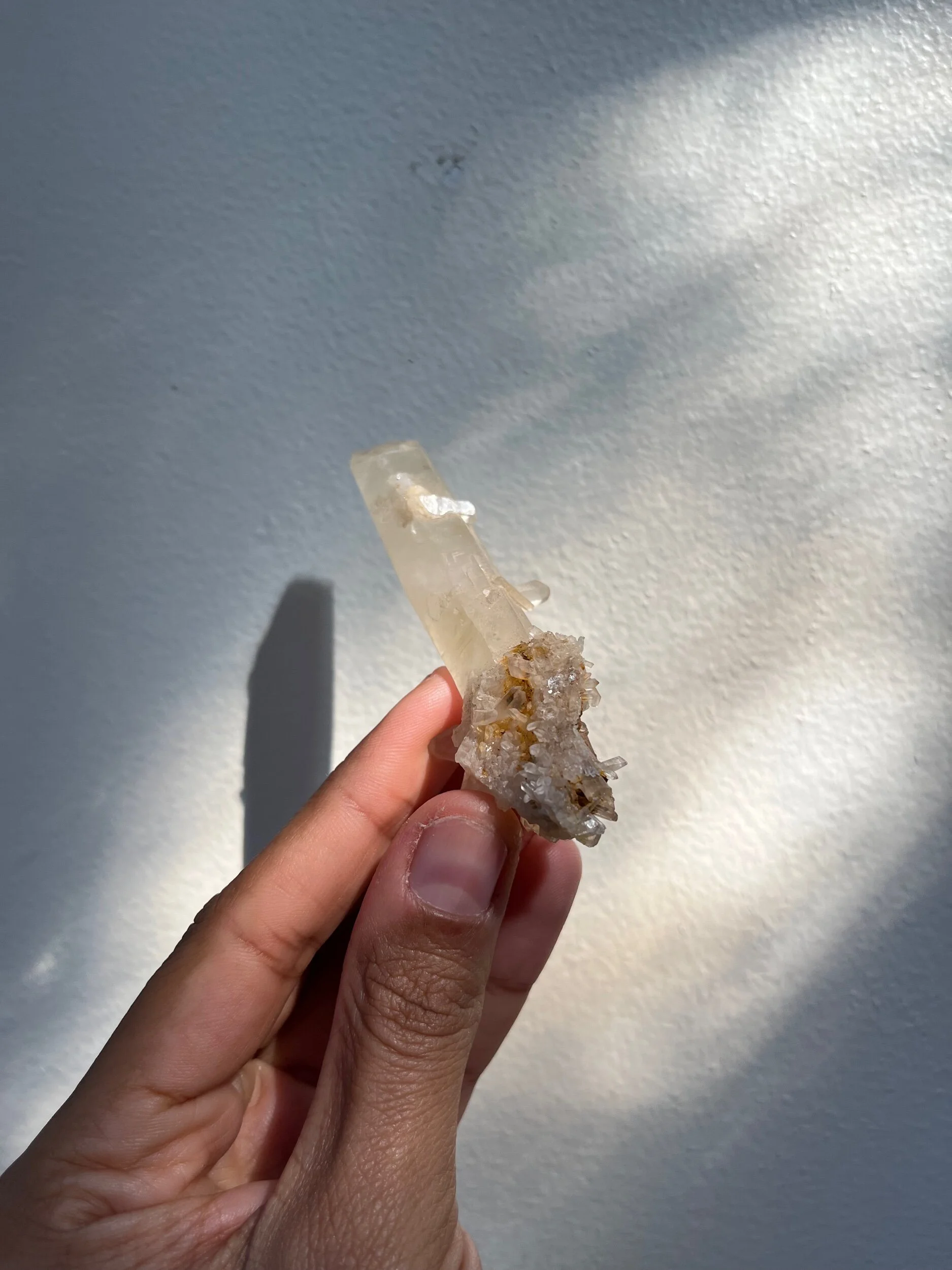 D59DA8F5-D801-4ECC-B29D-F6CE70A7FA26