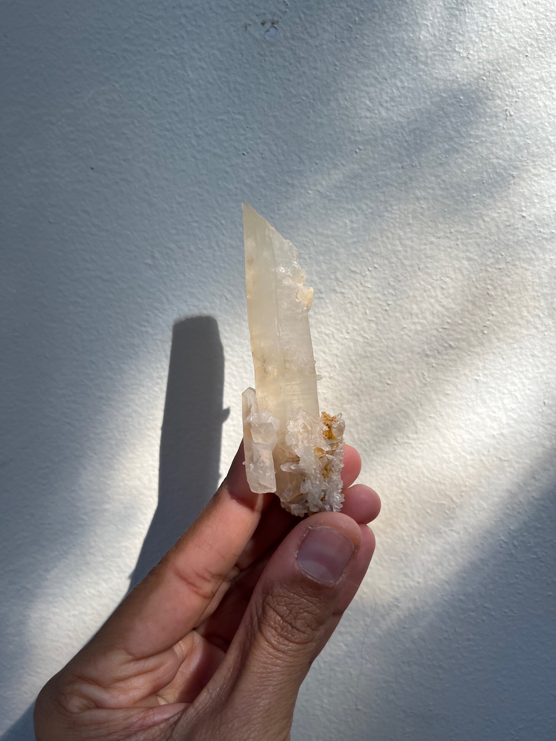 241FF1BE-DCD7-46F6-AF67-7F0385E32926