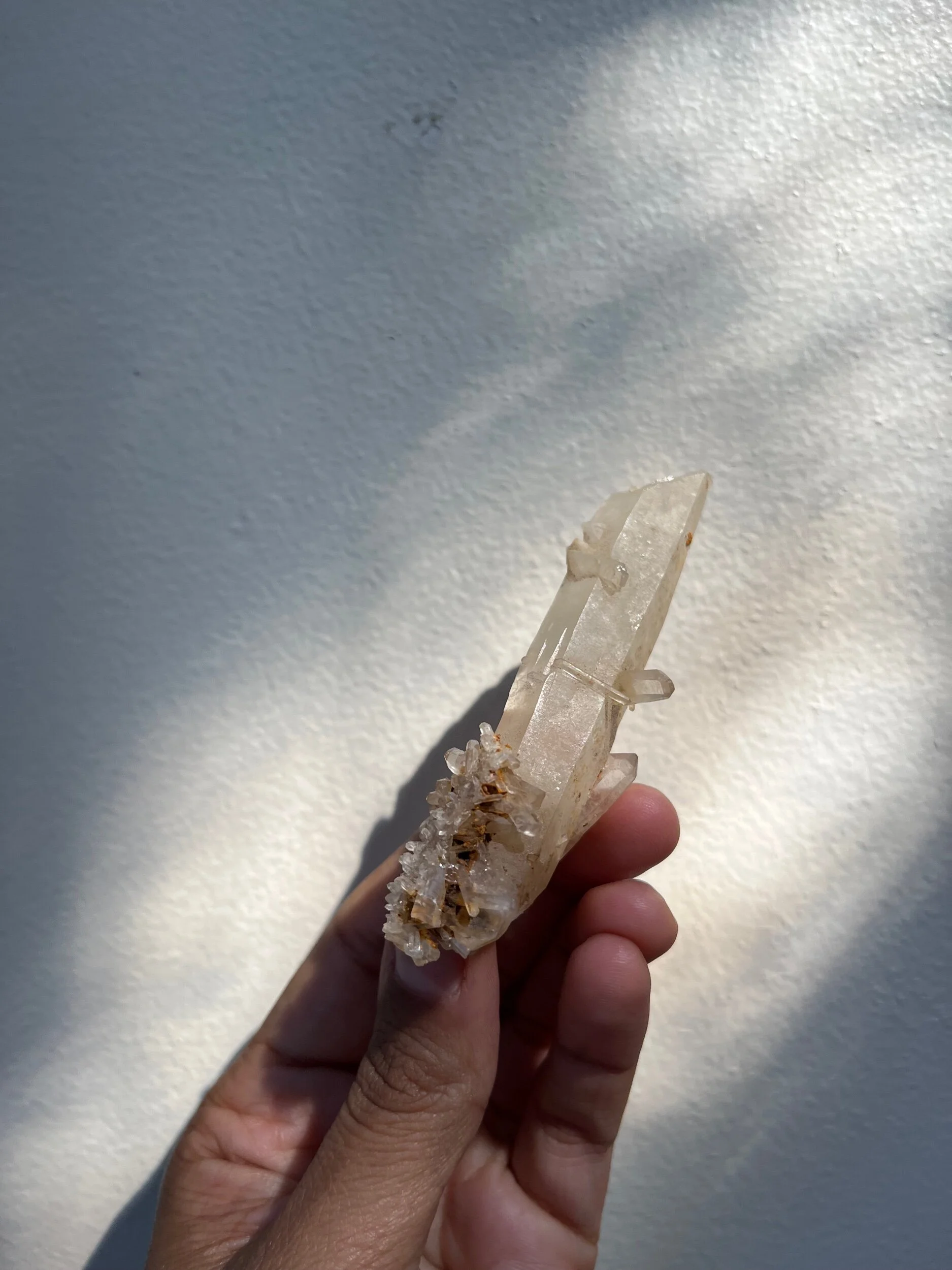 02F75C7F-4ABA-4CD0-8814-63C094AD390E