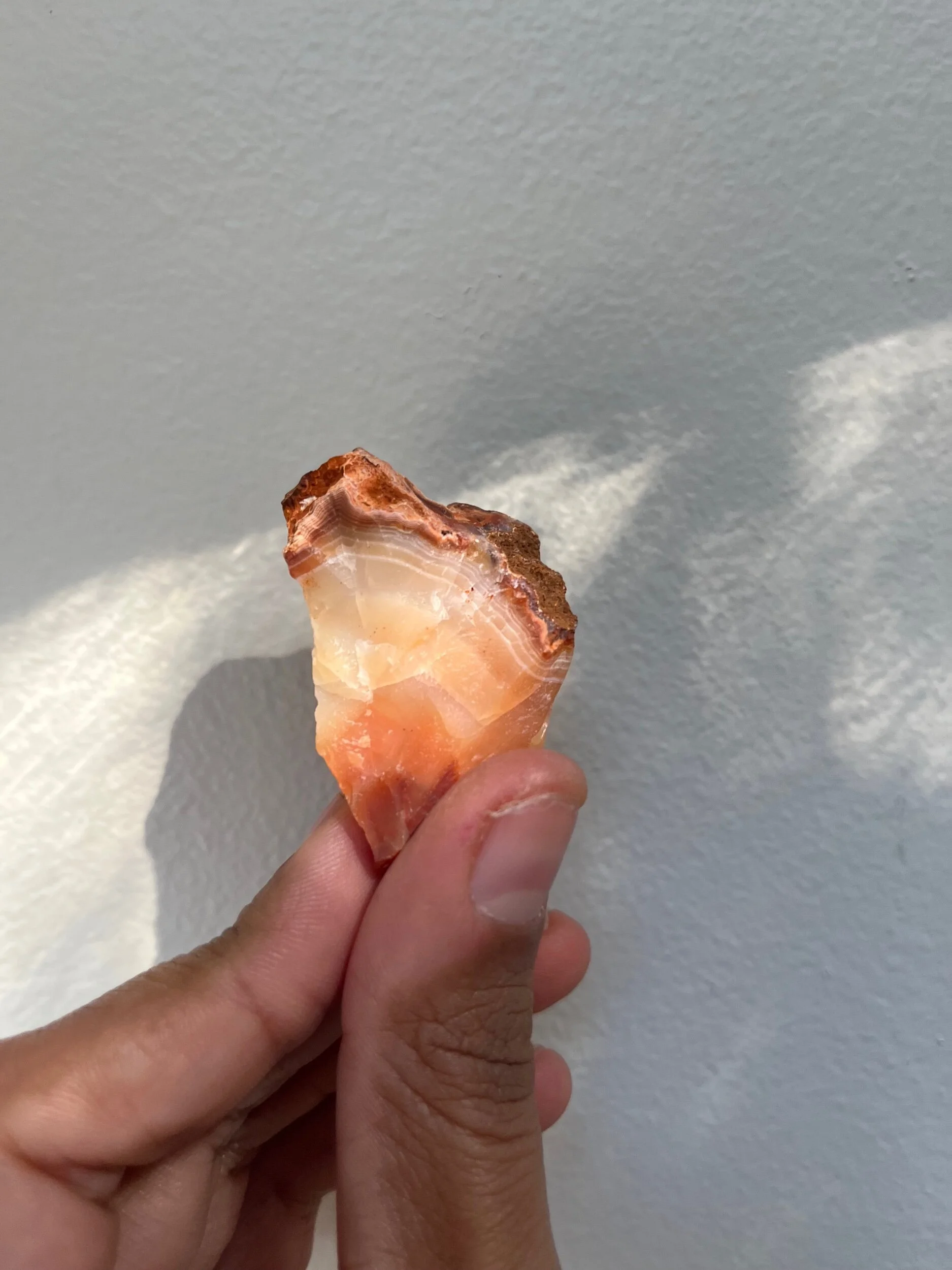 88462BDA-78E5-417A-8419-3453184FE304