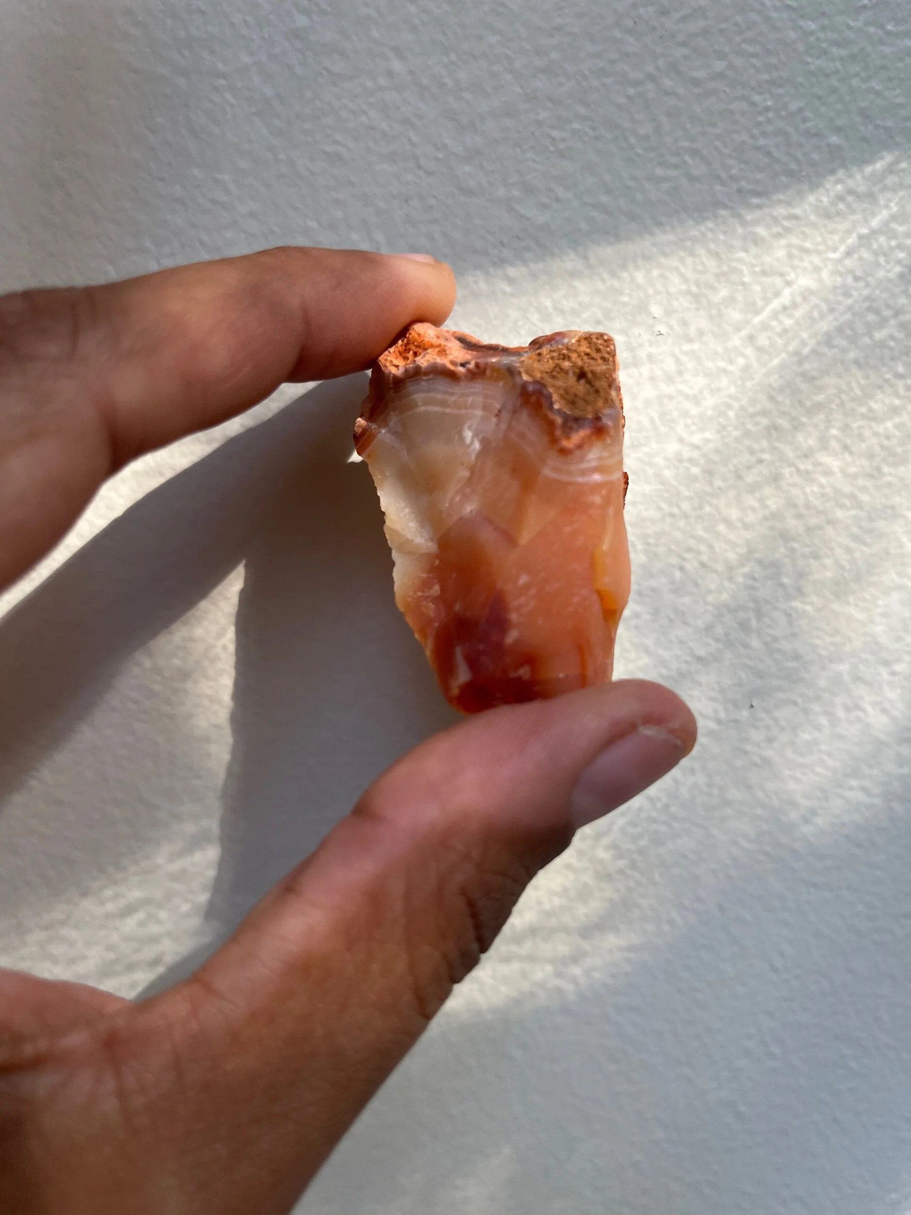 BD8D170A-C8ED-4377-8D0F-25E453DC6B4A