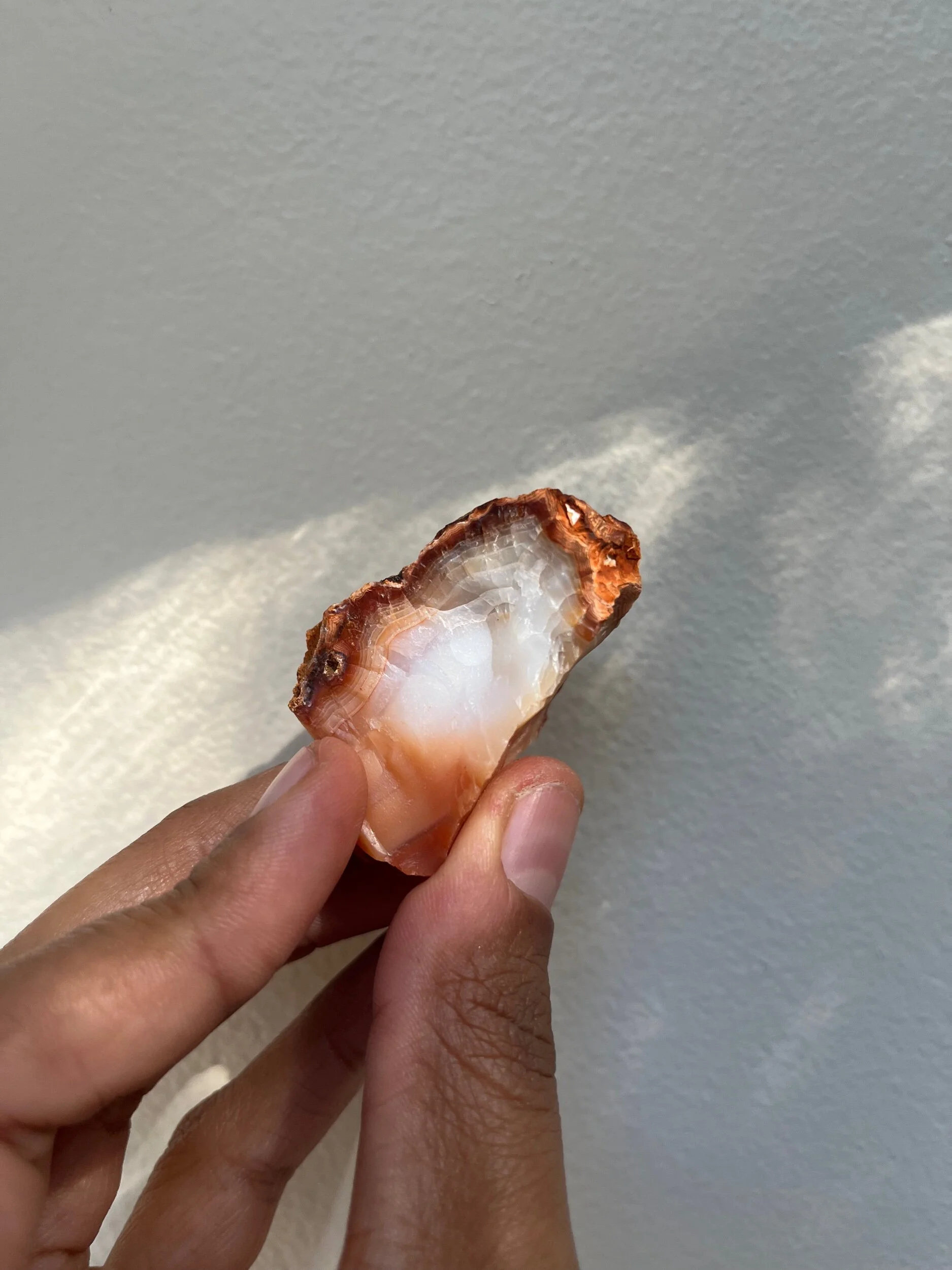 C3BA03AB-724A-46DC-893A-95842727D6F3