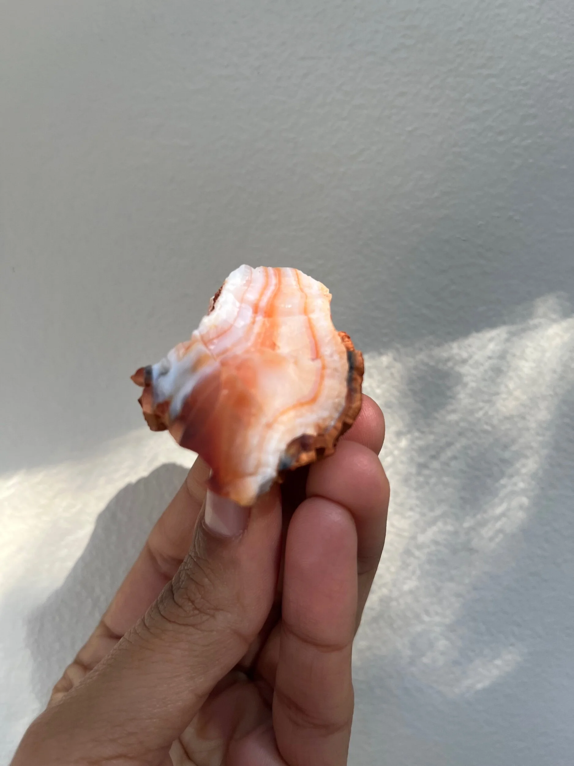 288D8C22-C05D-4C53-91C4-0446D619E71A