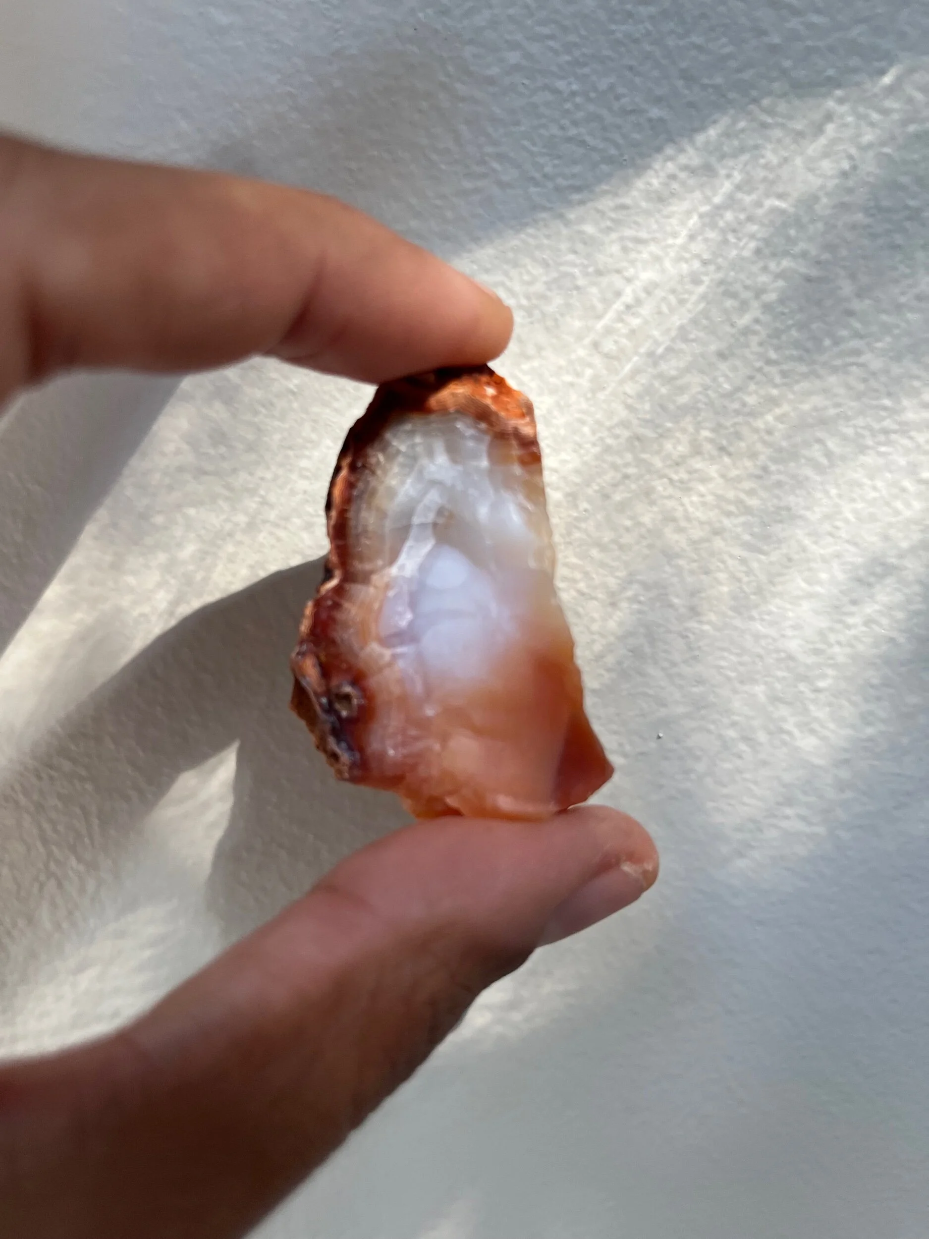 6B258AE8-85DB-4831-877D-7F2095566CD3