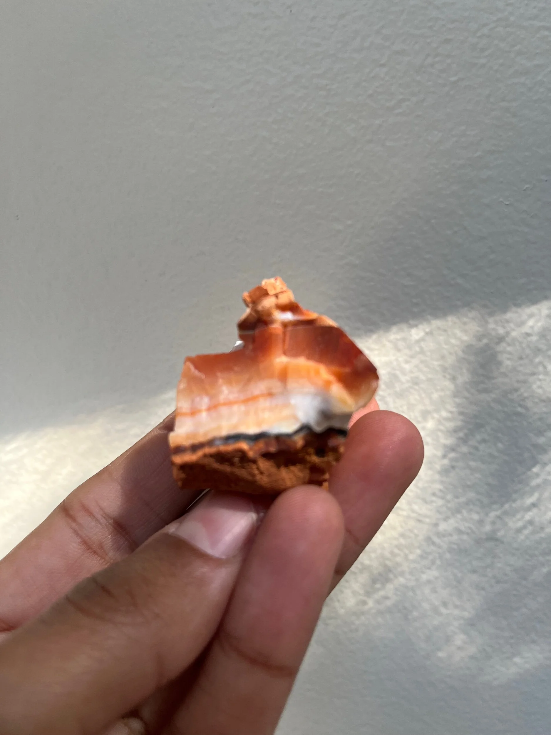 342C012D-3374-4645-B587-DDB45AD9FECB