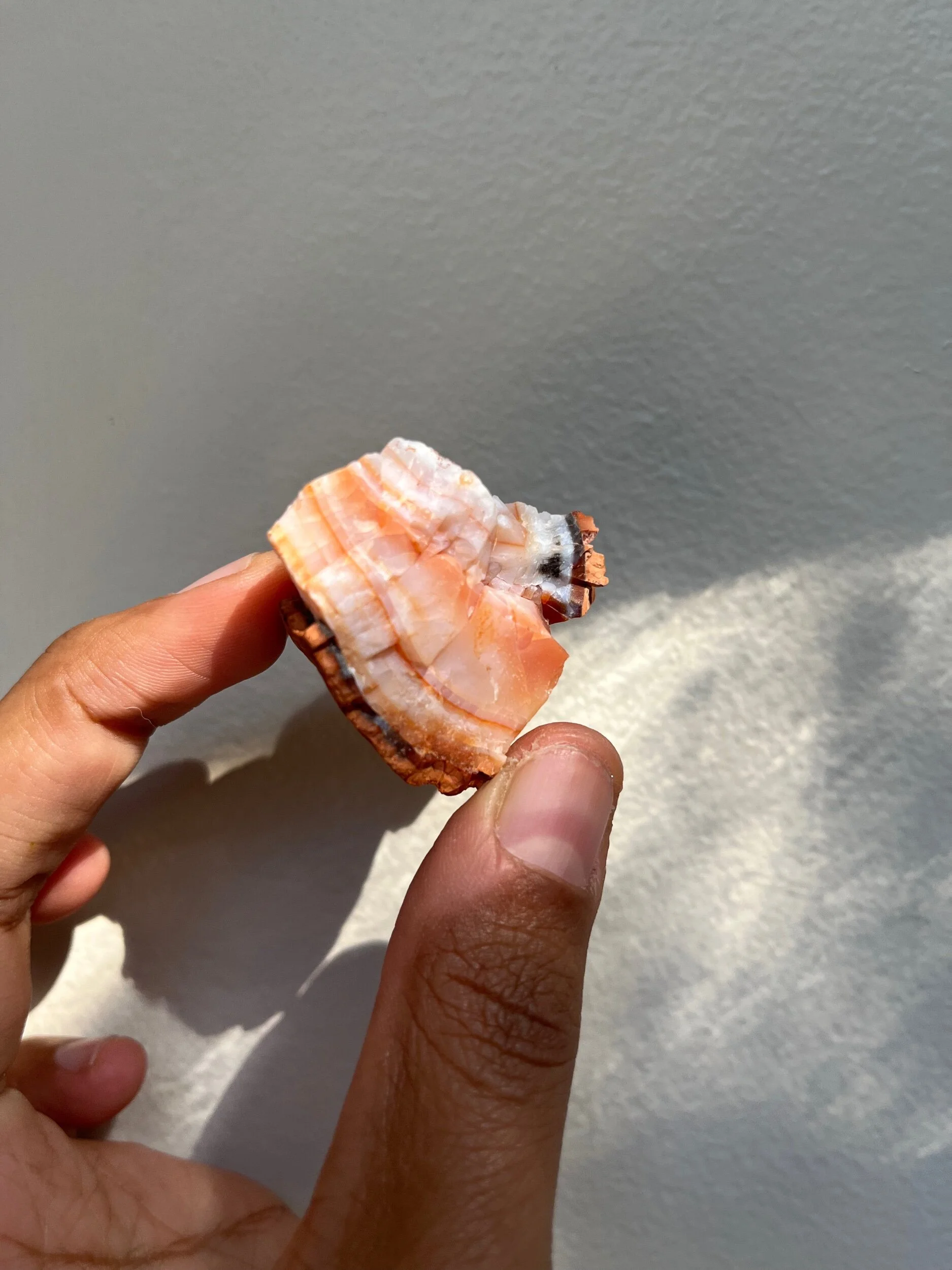 8FE32868-CA4C-41DC-A905-D42823C33991