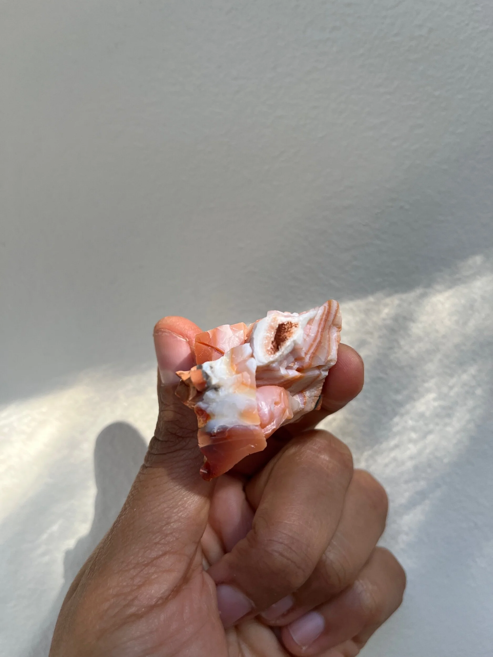 F07E8B03-A606-4E60-B49D-A53657131C4D