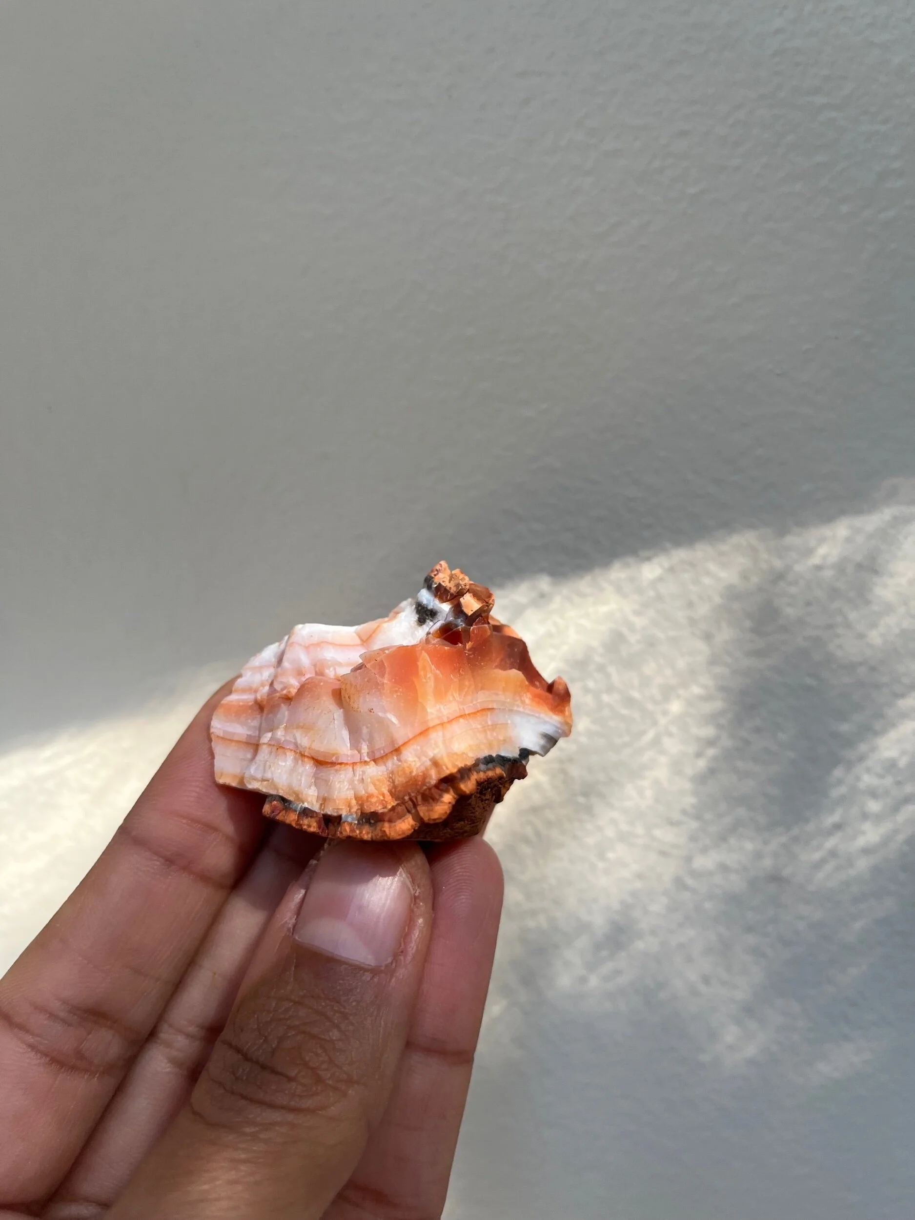 D67A74C8-7B3E-4197-B7B5-BC1FF09E83FC