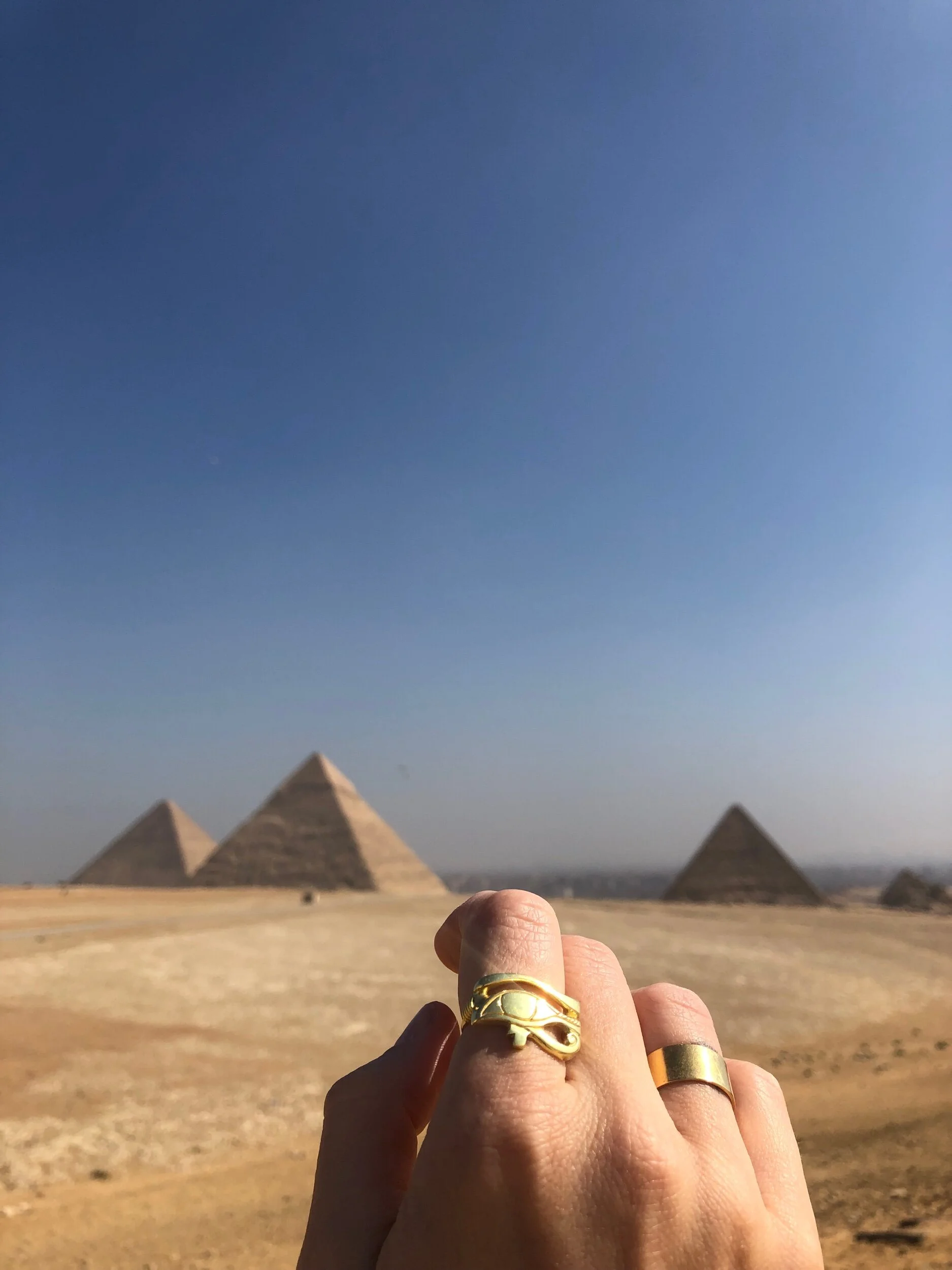 2086E344-21E2-43B0-AE7E-9B8525A635FE