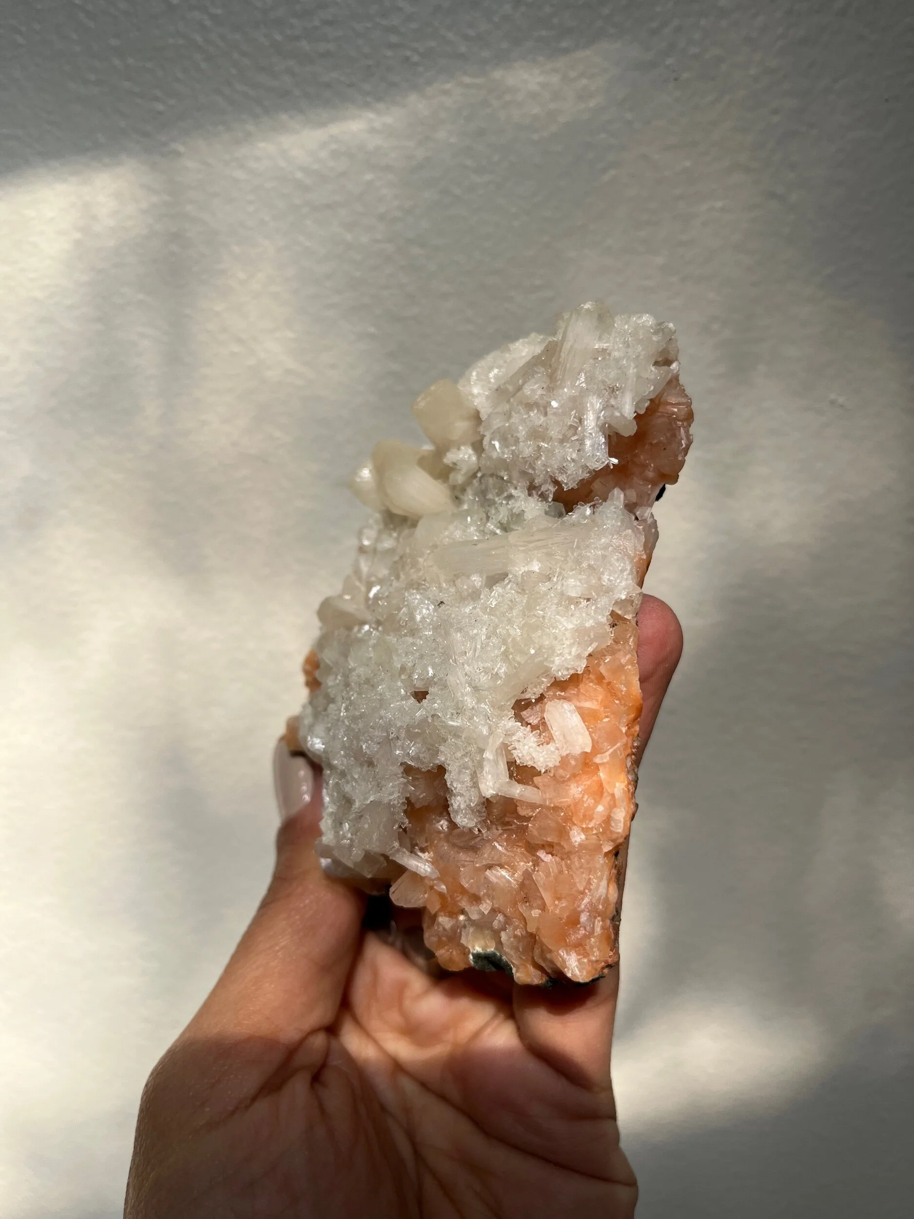 F3BCC49B-C982-416A-8EF5-ADC8C2C96354