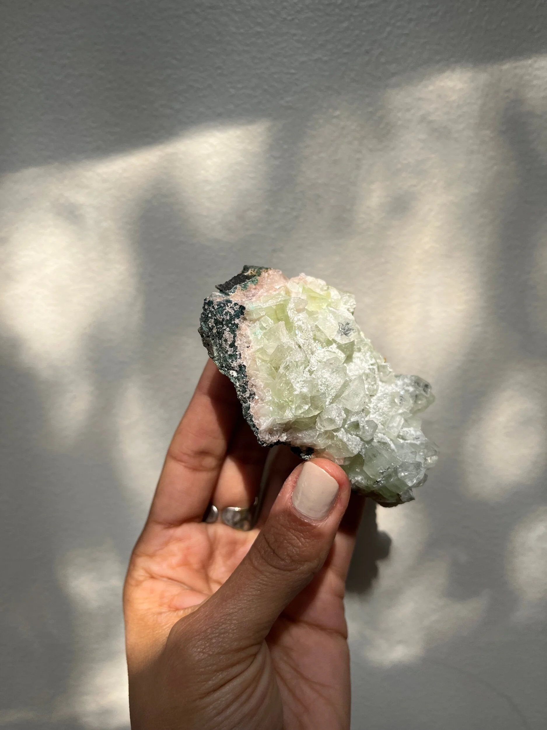 7B9D1FF9-2DAB-4F71-9DA7-E355EFBF5121