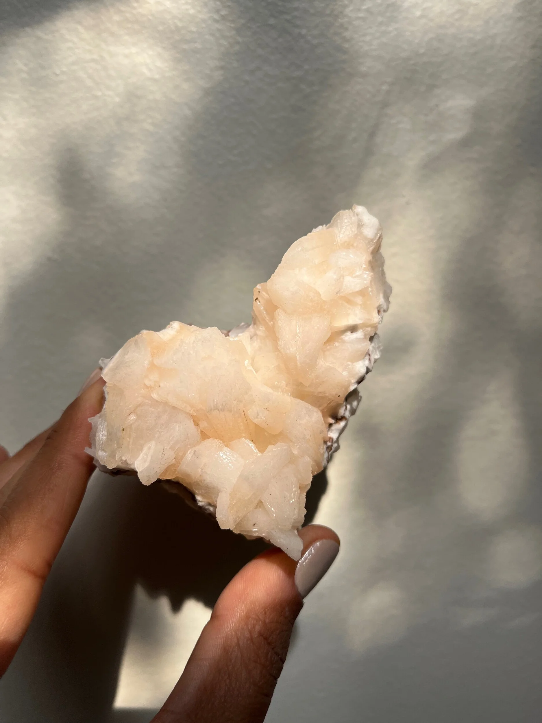 31317438-CD25-416D-A822-0138E822AF4C