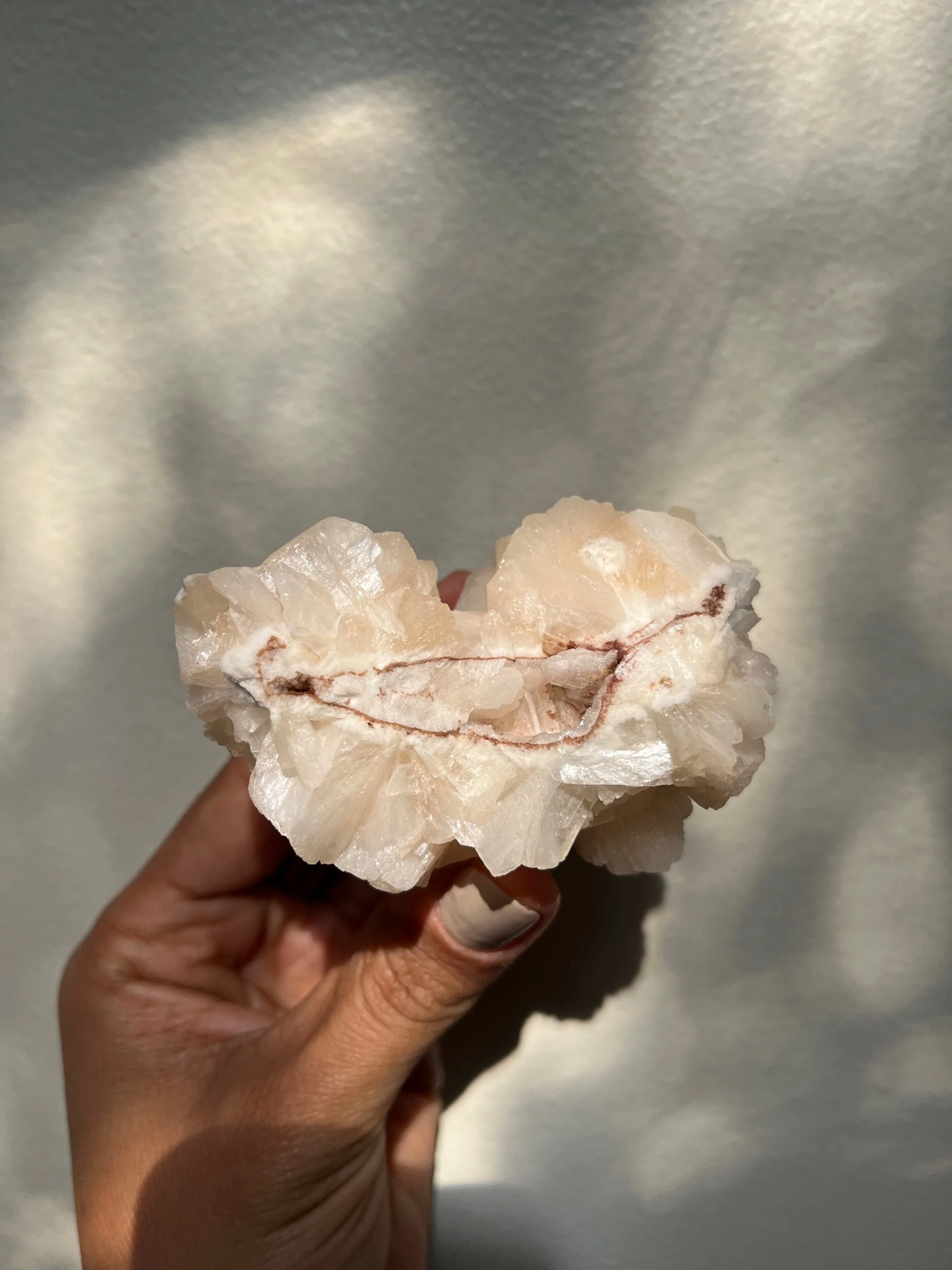 58F83067-BBF8-407B-BBFD-896062AB6AB2