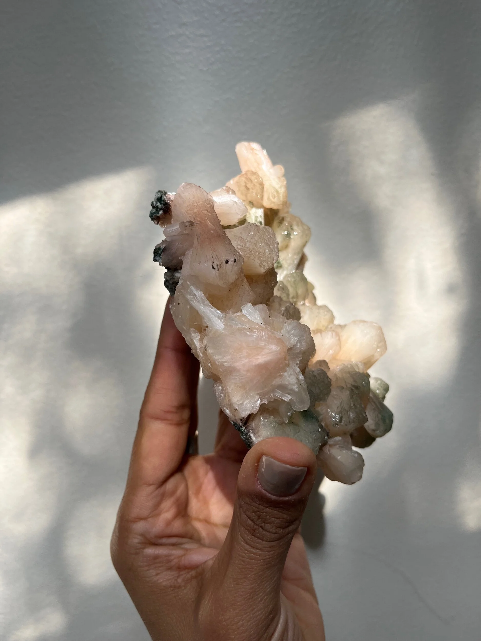 E4F43AA6-A214-451C-8461-D0FCFA1892EE