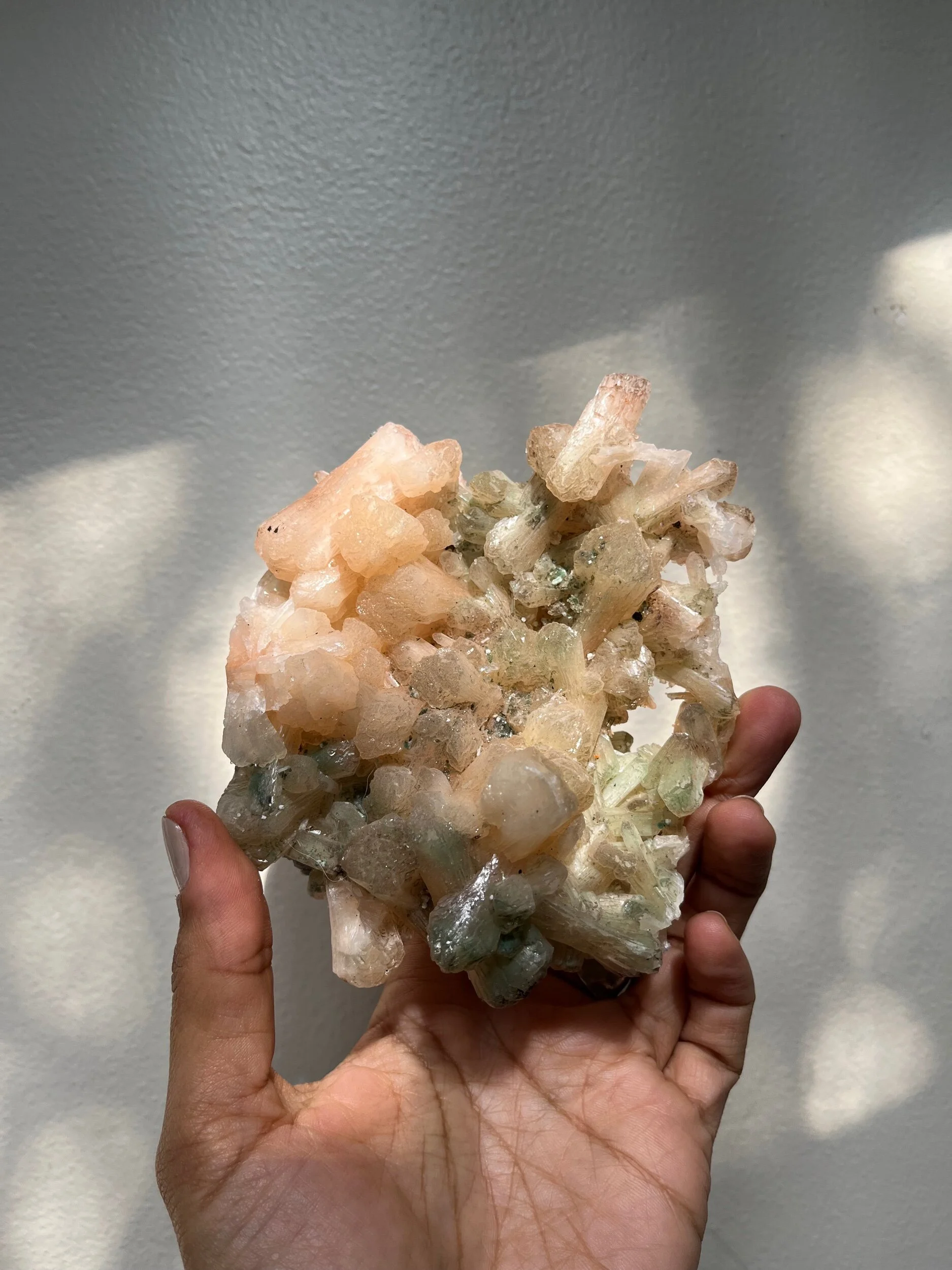 17034270-27ED-4096-B0B7-5E3E39C600F6