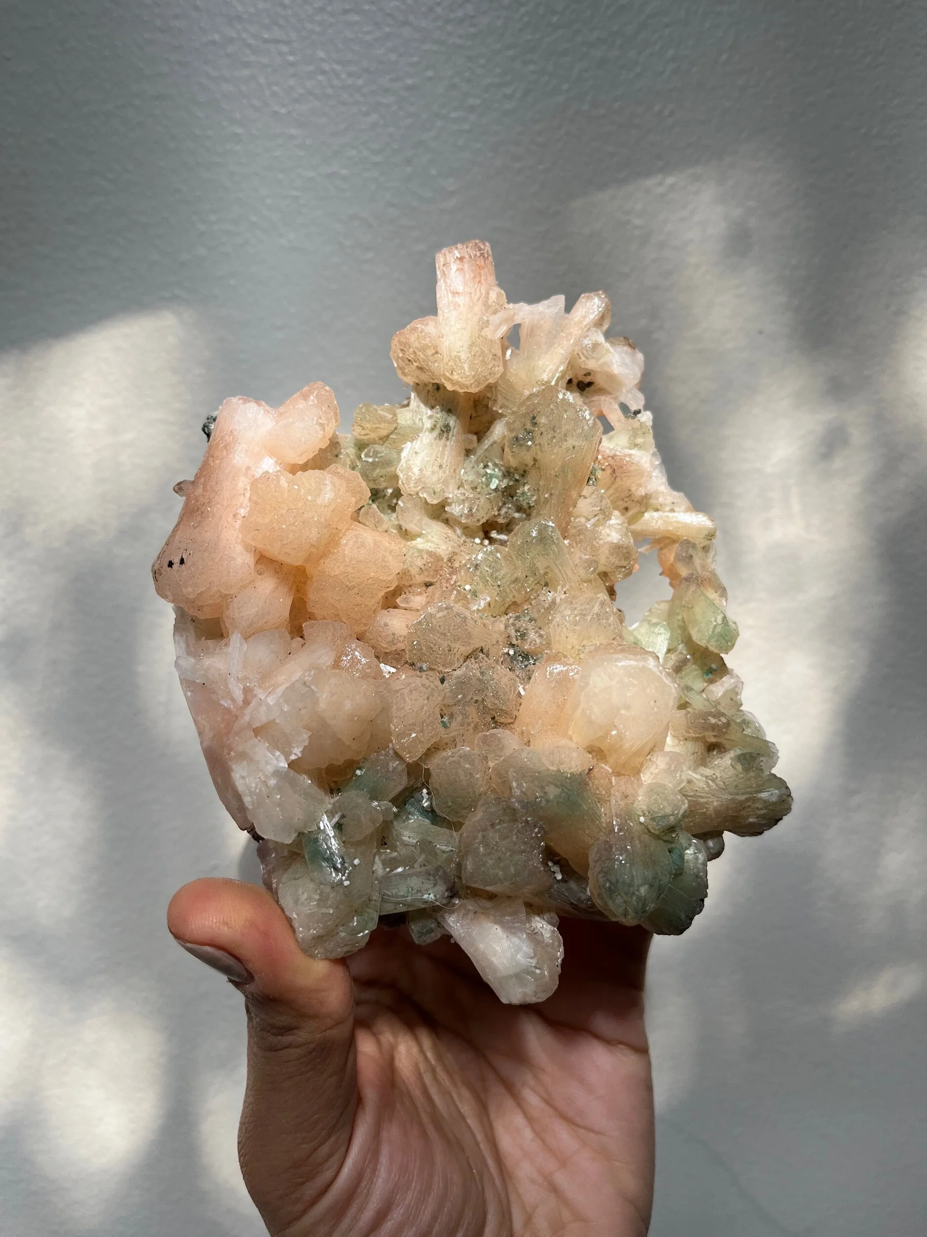 D537C28C-A4BE-4B73-B878-EB989C30E13B