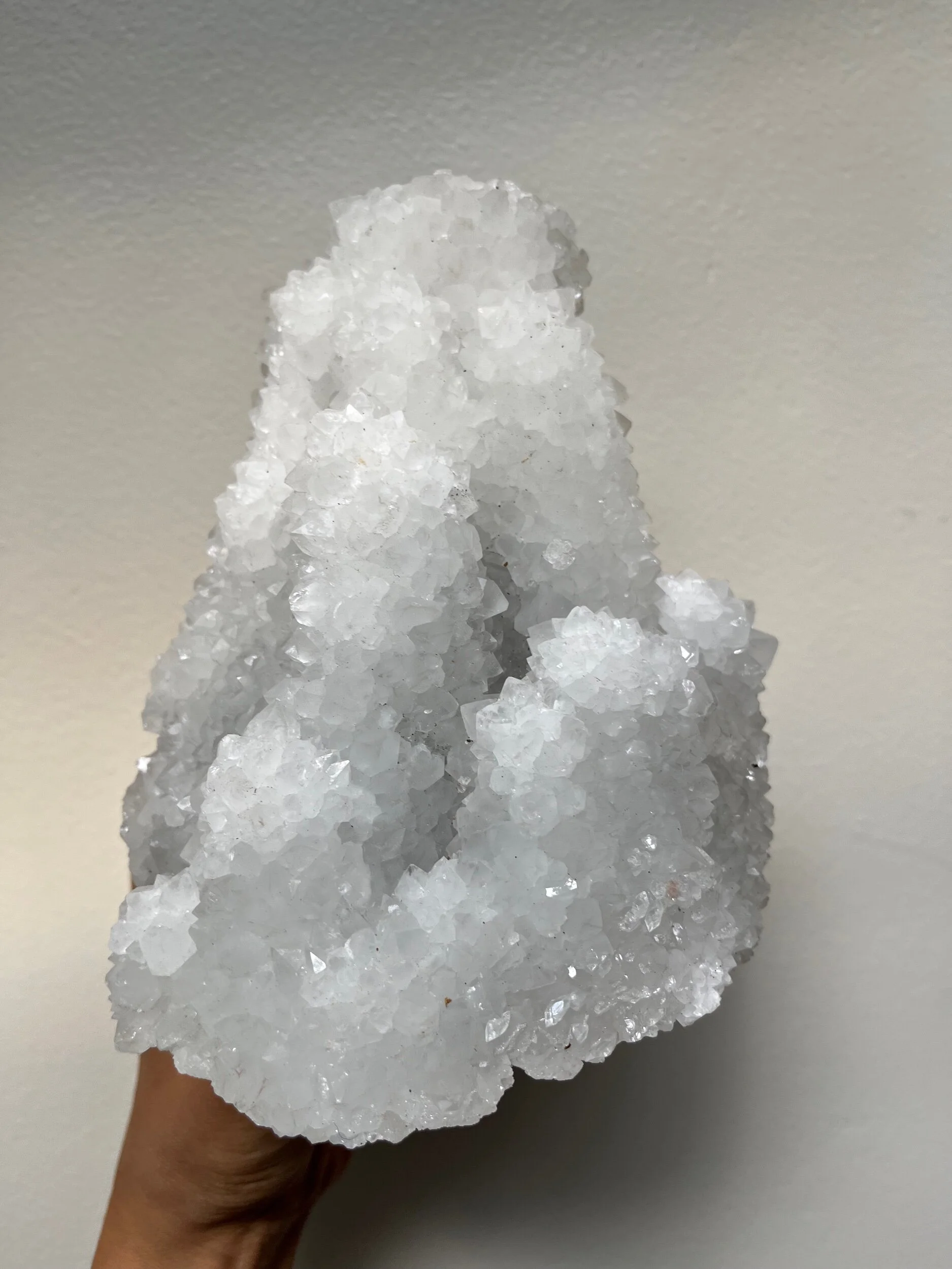 D5E19303-9A65-40B4-9DD5-8EFD59F18415