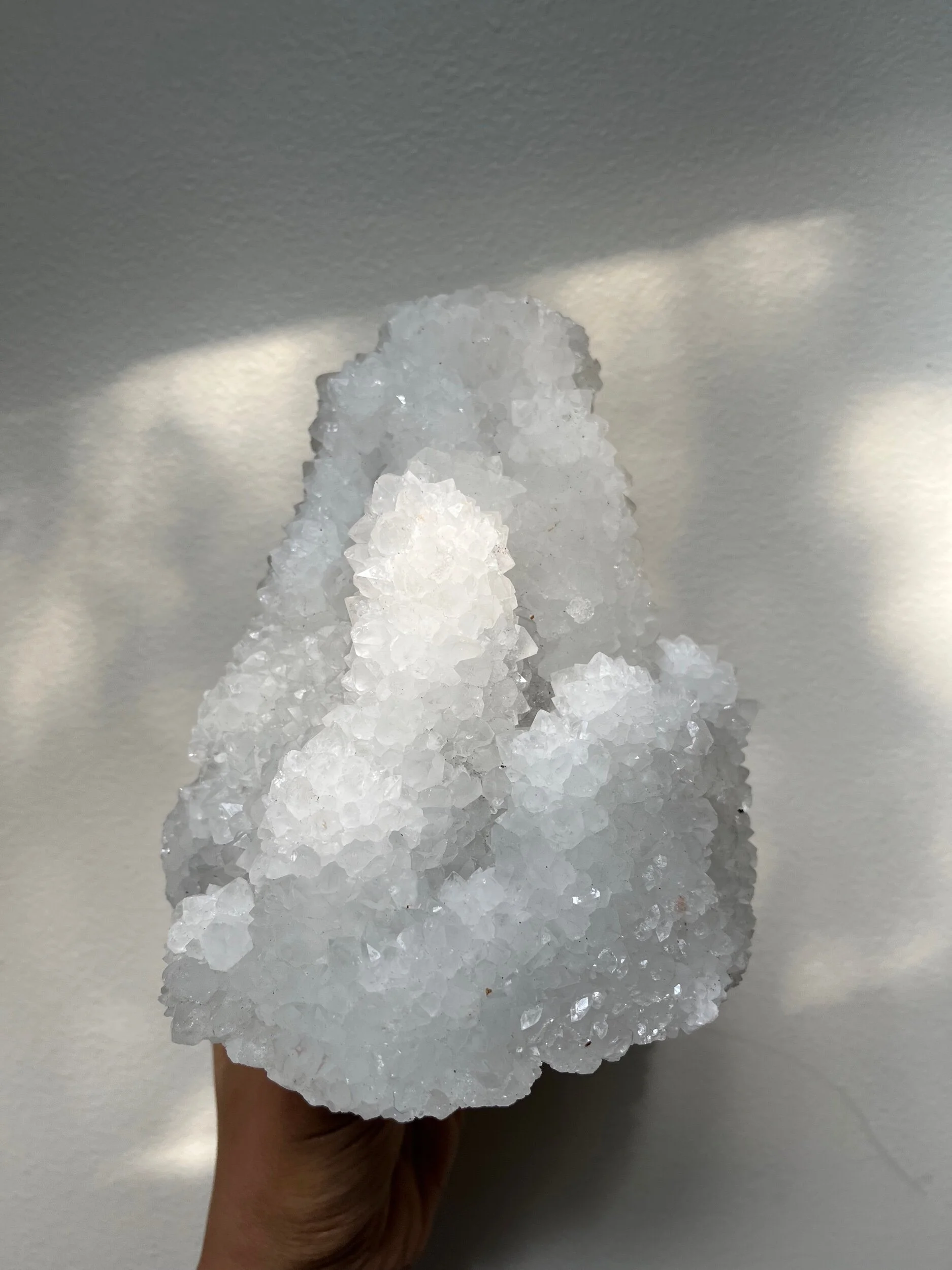 9FBC0CB7-0592-43E9-8804-A9F2C4E4981C