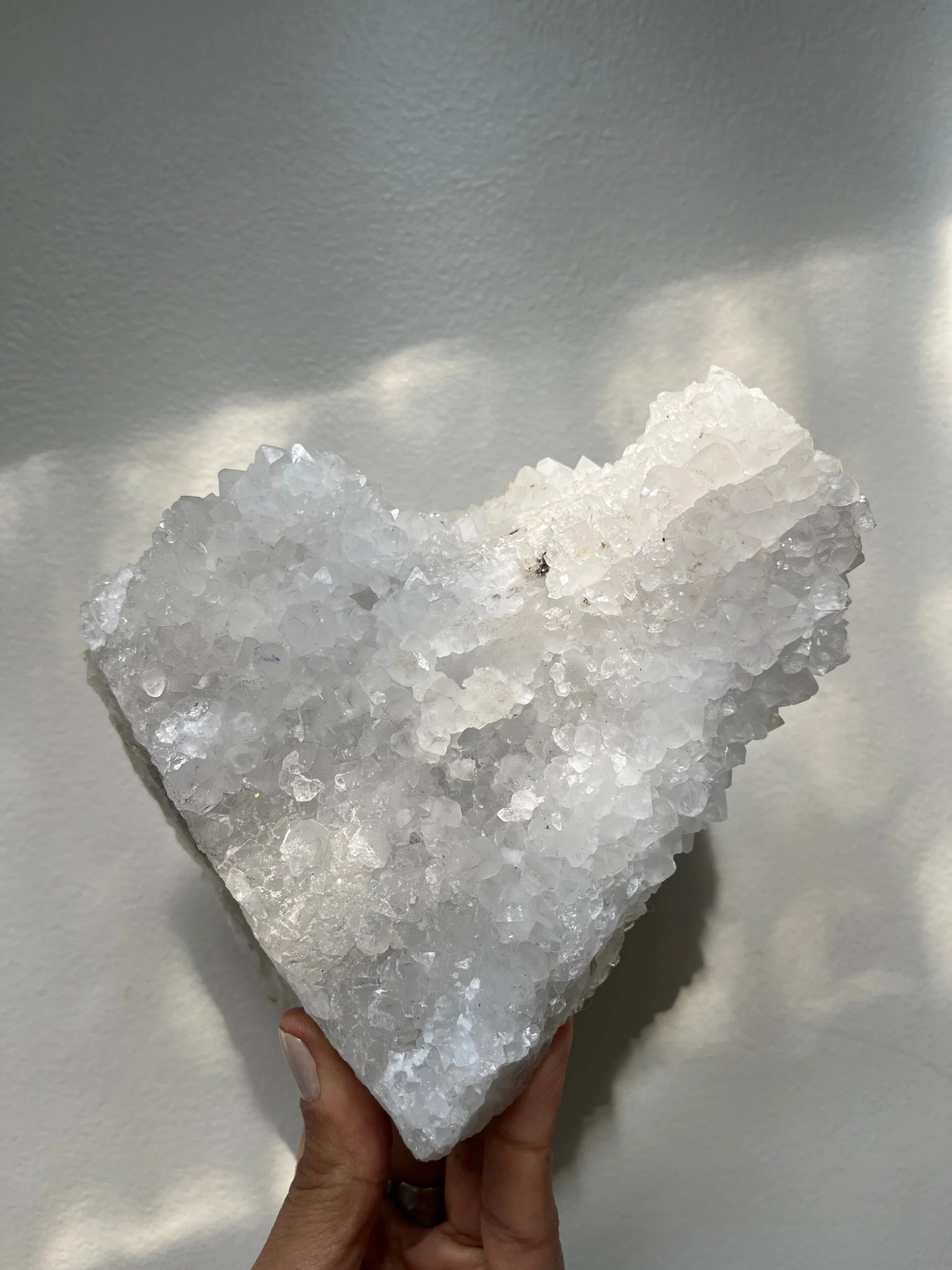 301C6CED-850E-4B6A-9800-73685EC973B0