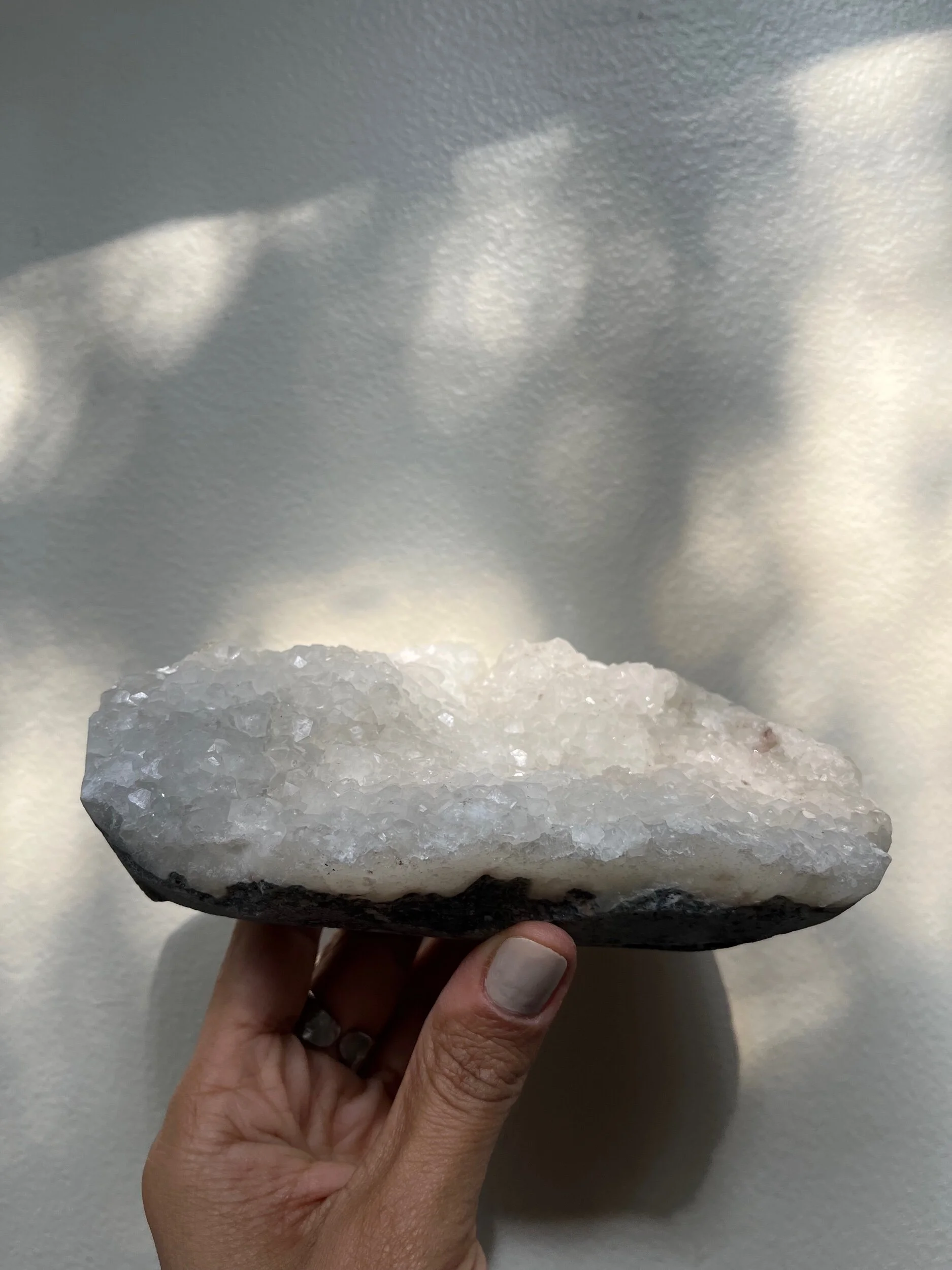 D1892308-5E7F-429D-B5CF-49E8F8AF40EA