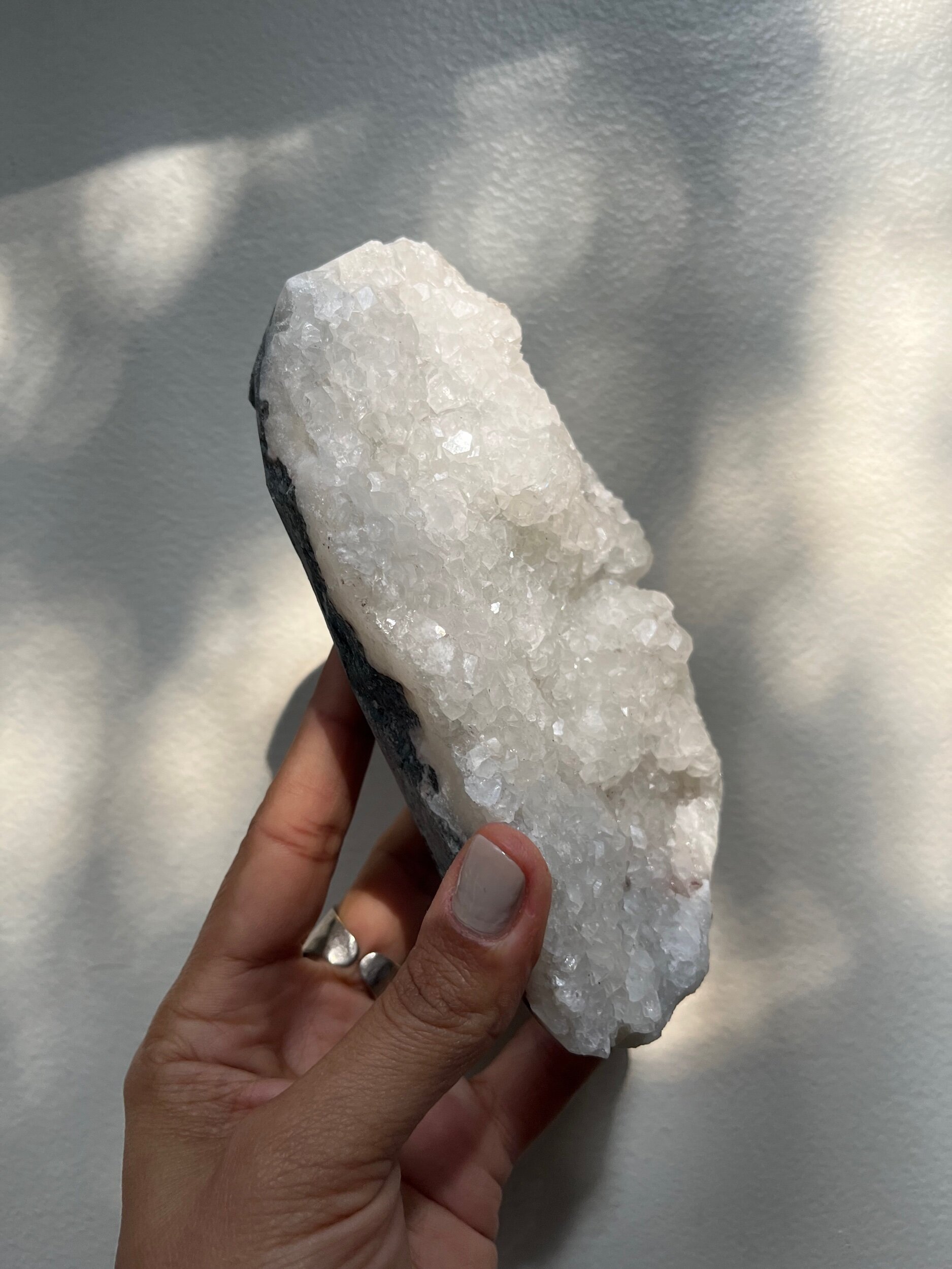 4DC62481-F187-43FD-96DA-92FD562BC38C