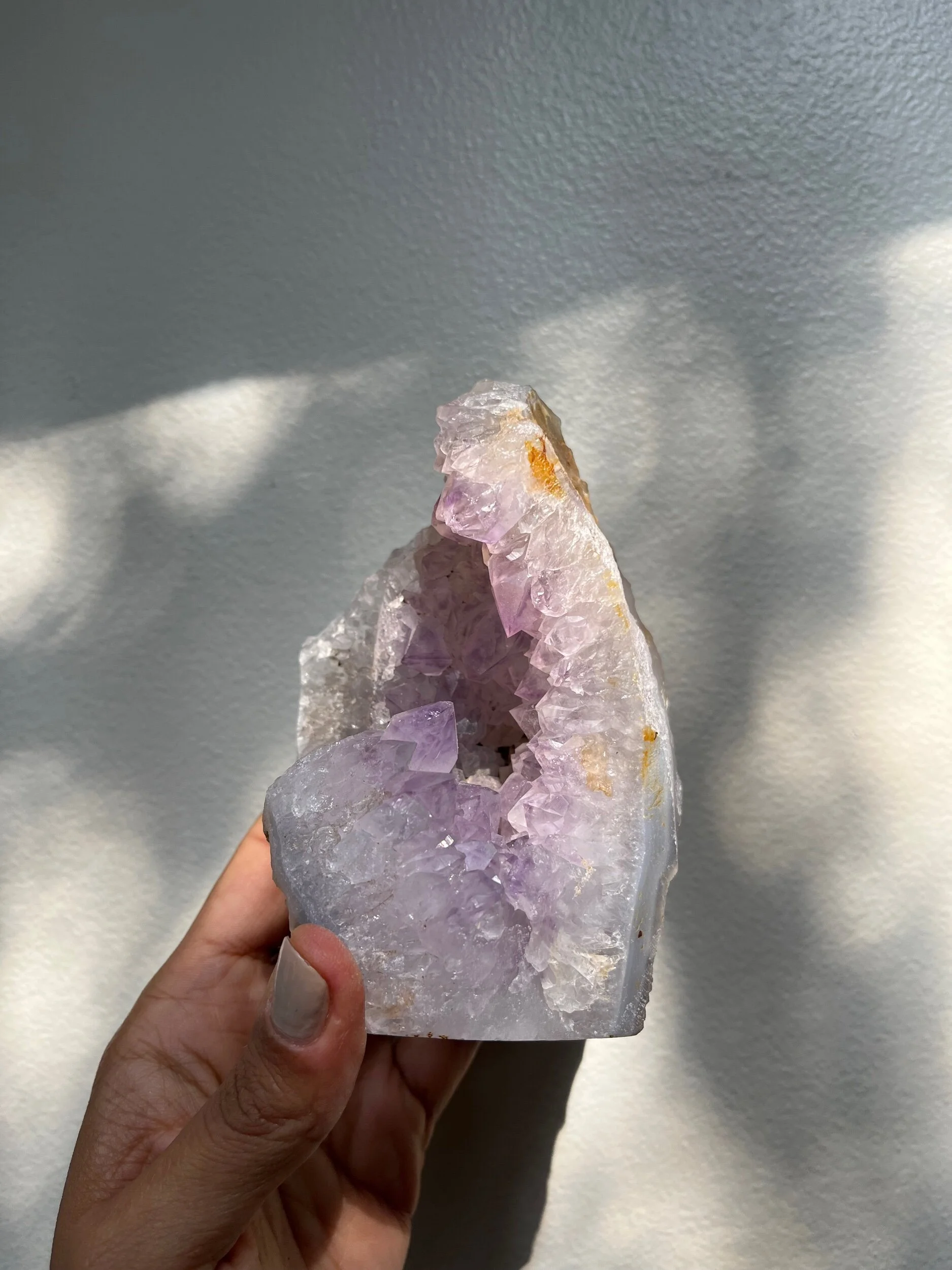 11E7E56C-B268-47EB-8548-FD889376BA32